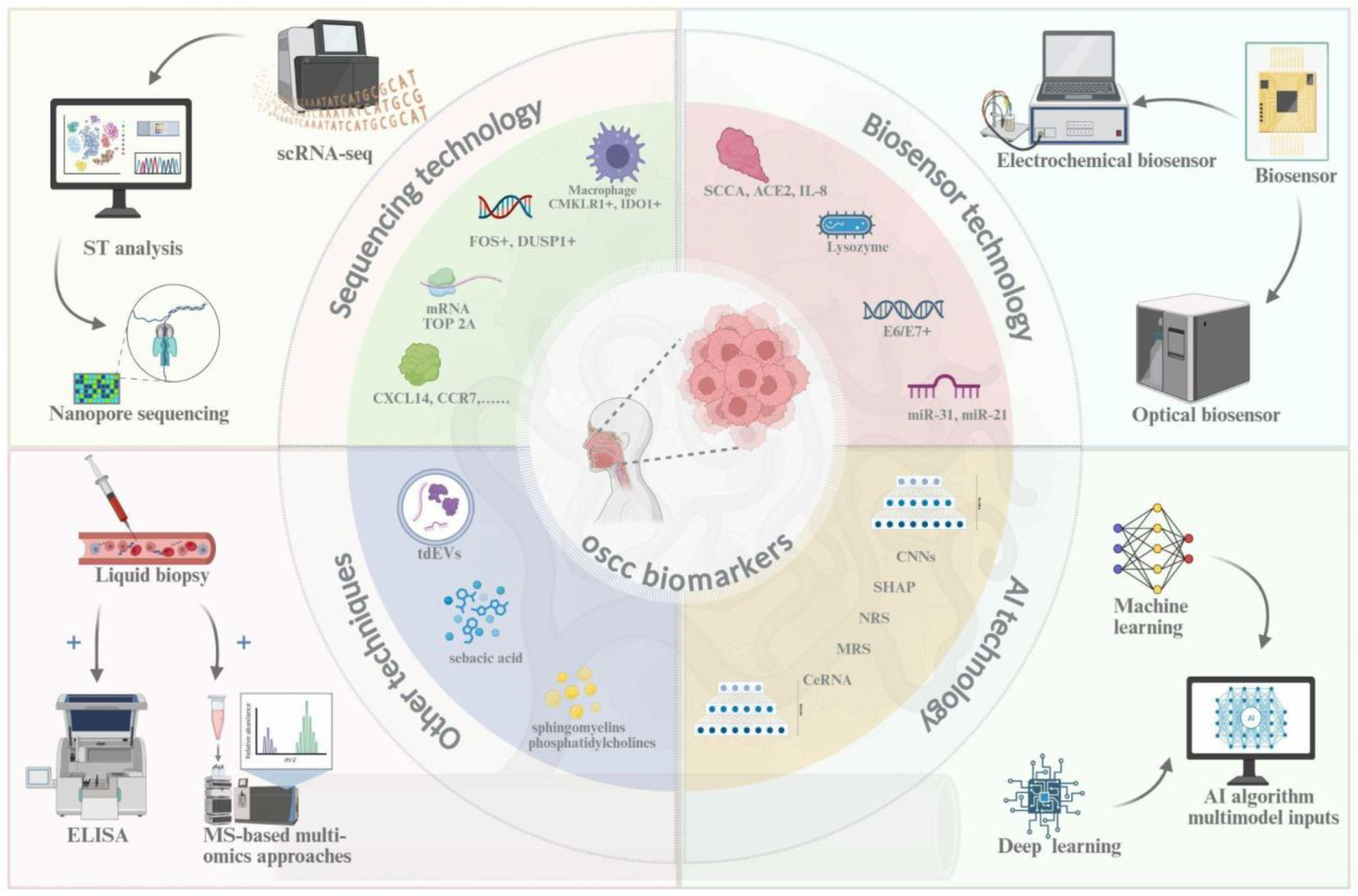 Preprints 176658 g003