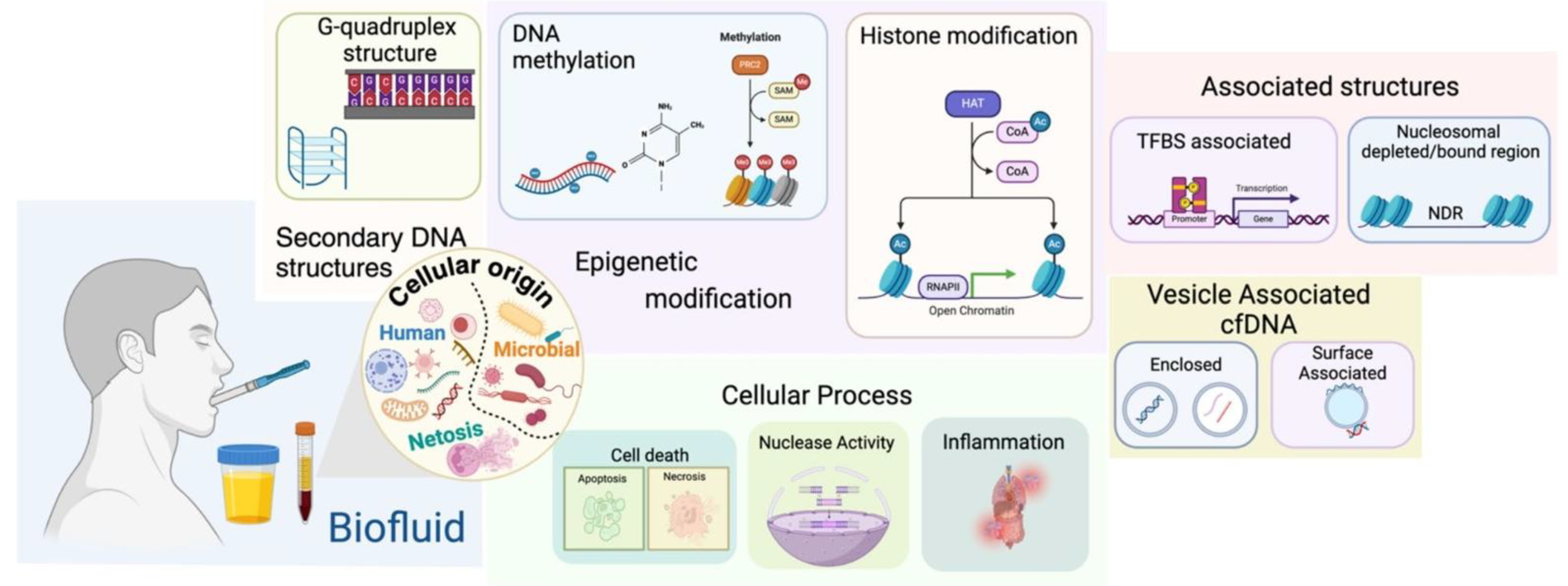 Preprints 176658 g005
