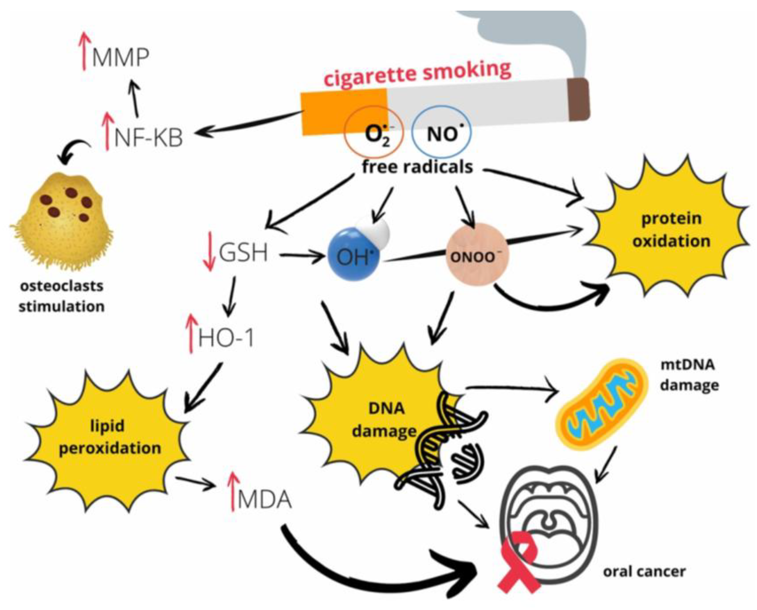 Preprints 176658 g006