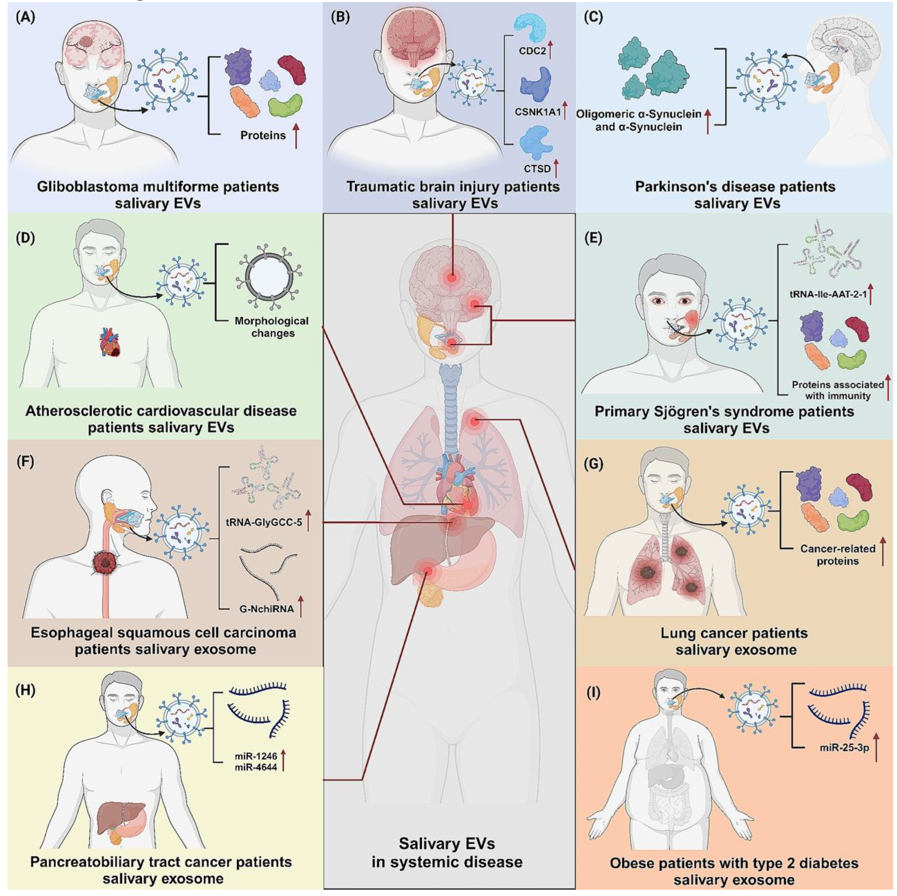 Preprints 176658 g009