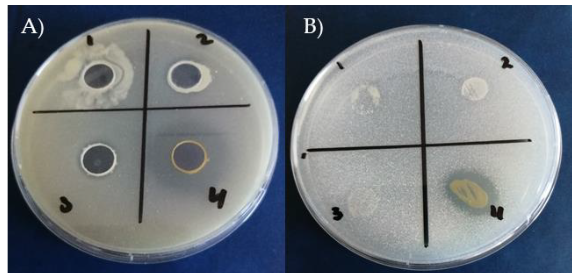 Preprints 115090 g003