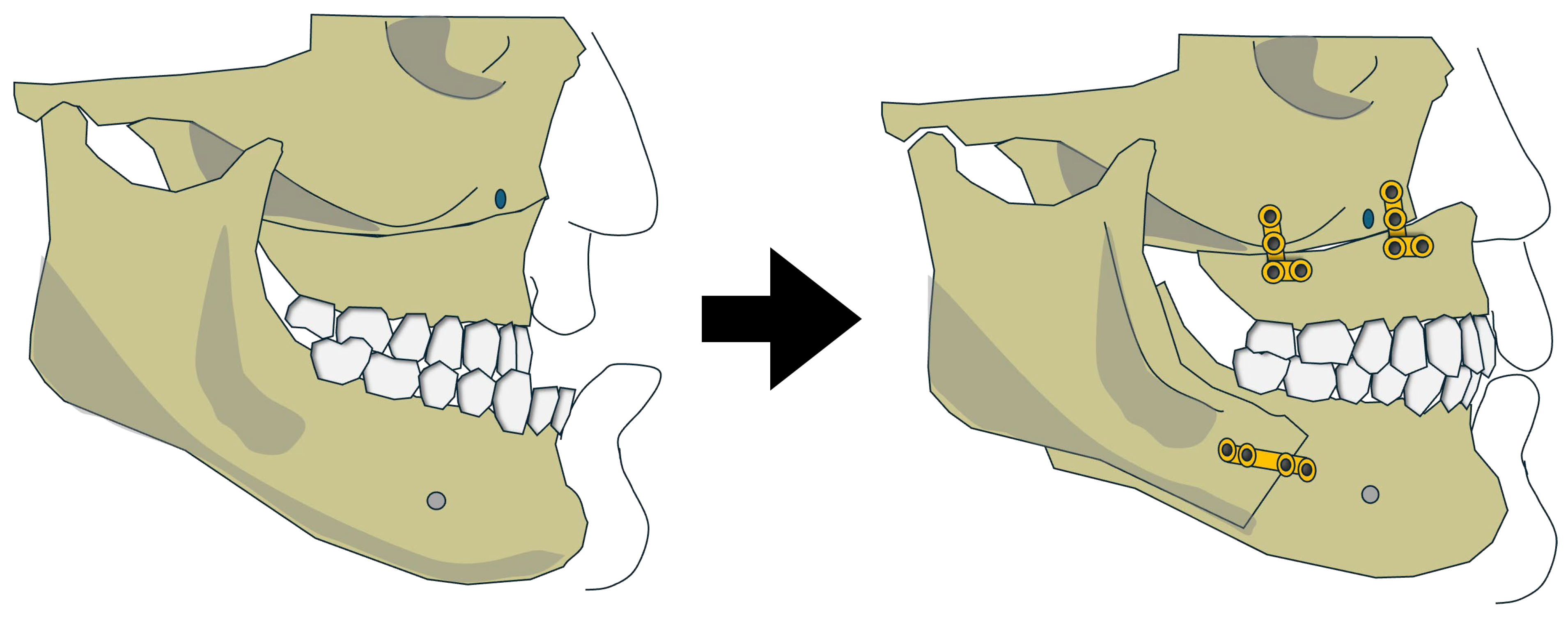 Preprints 192396 g002