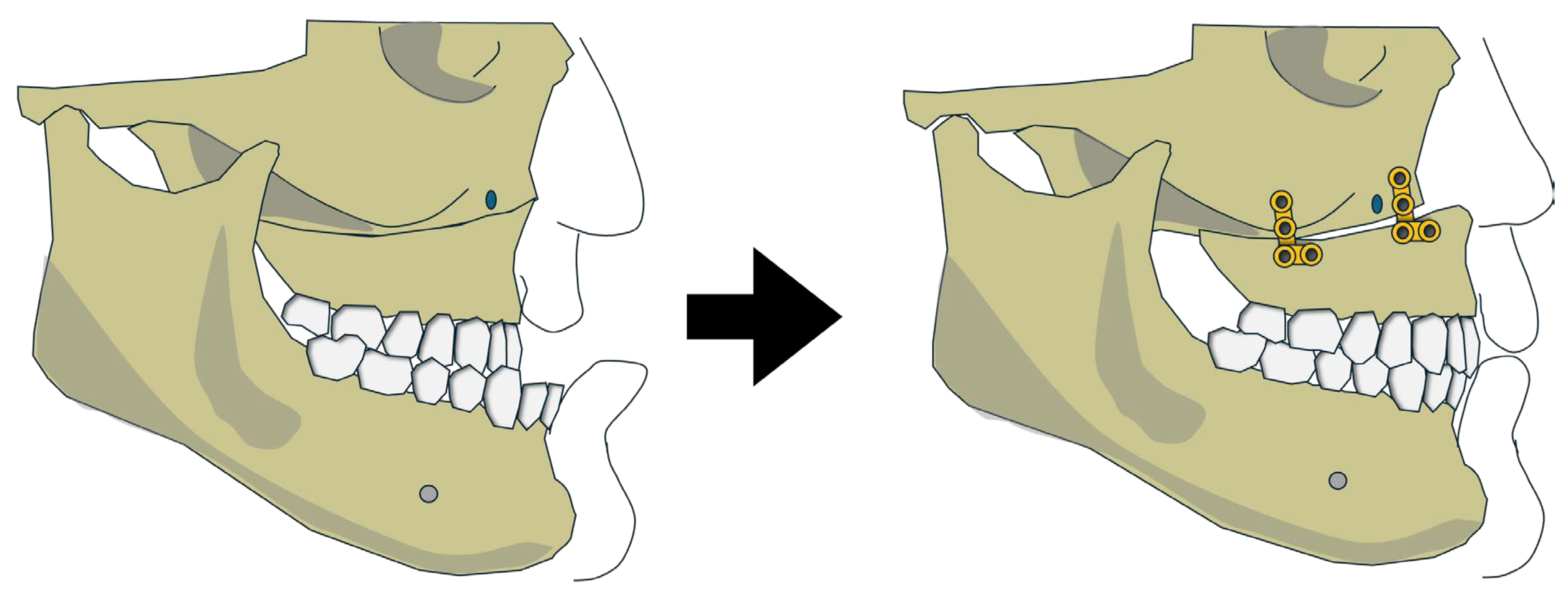 Preprints 192396 g003