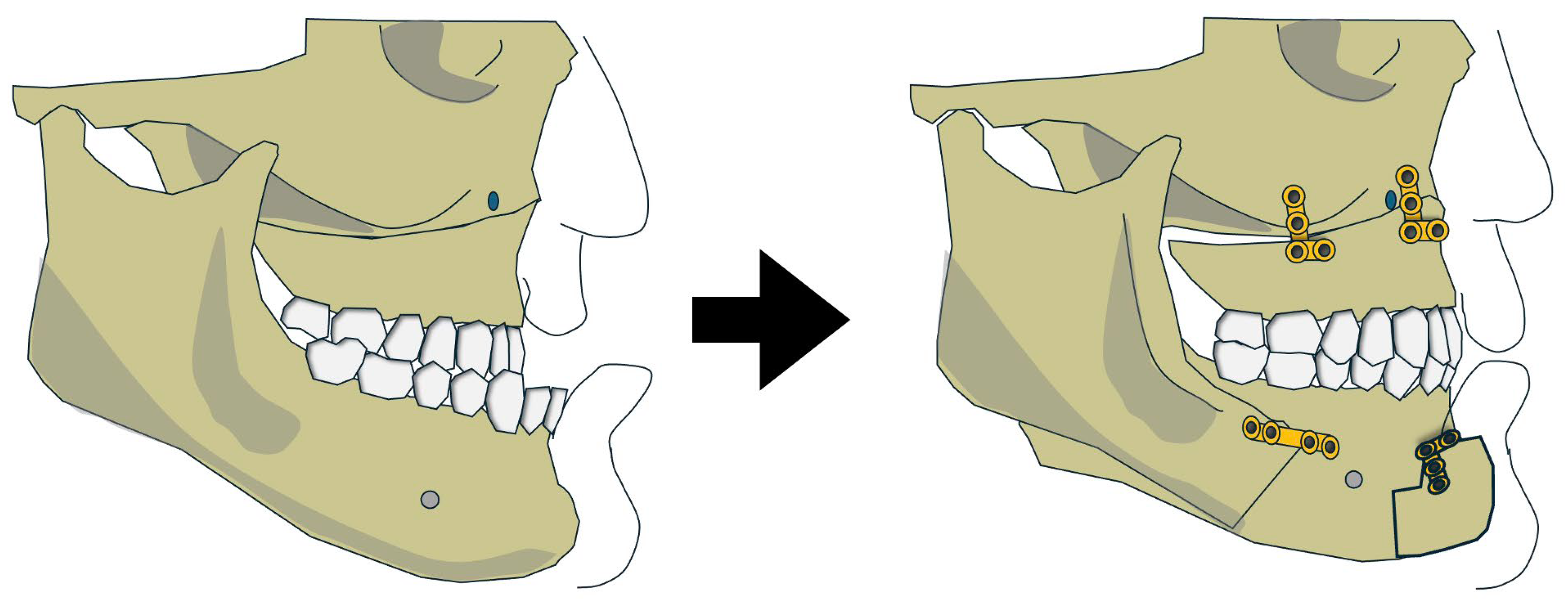 Preprints 192396 g004