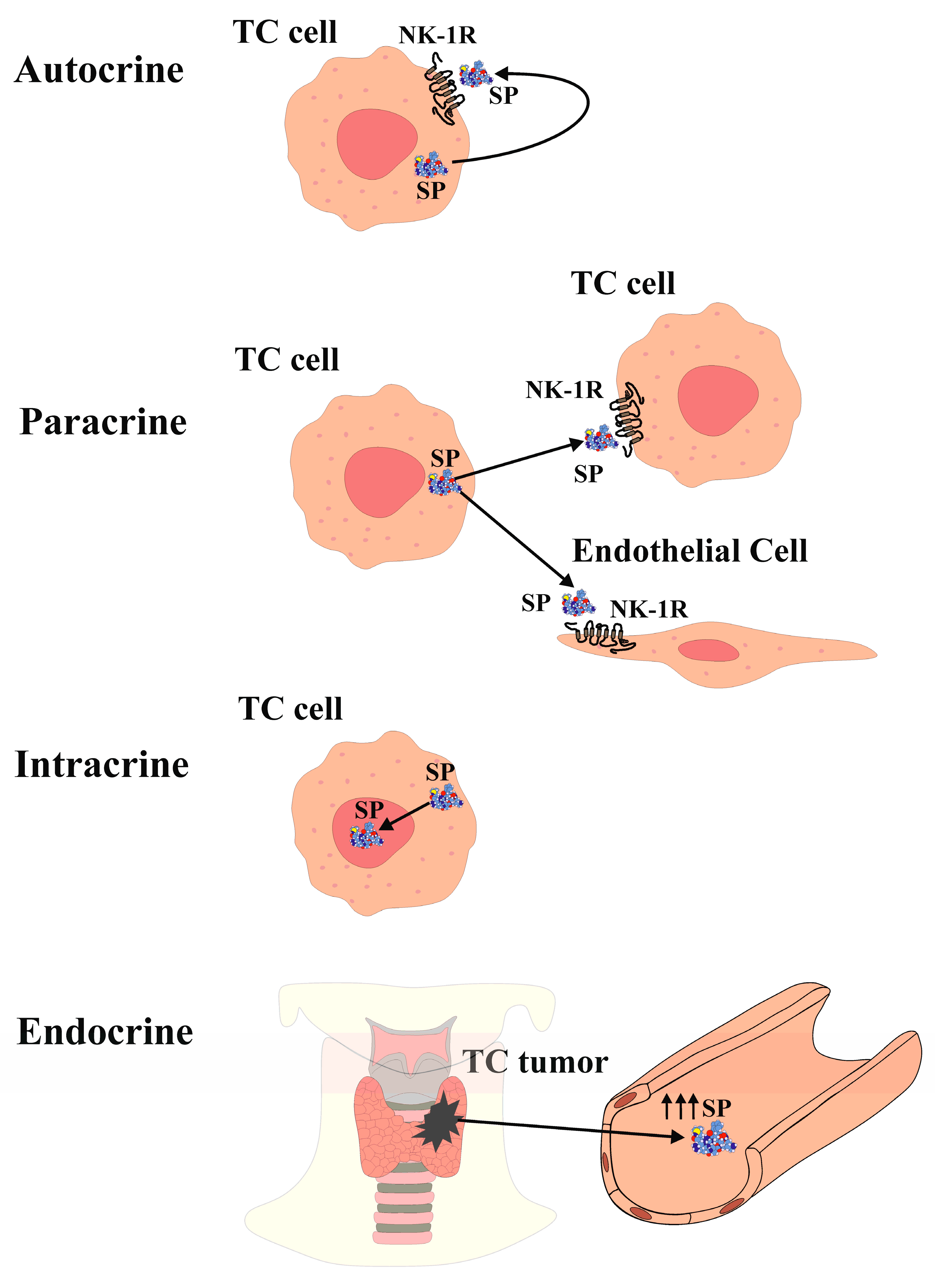 Preprints 82217 g001