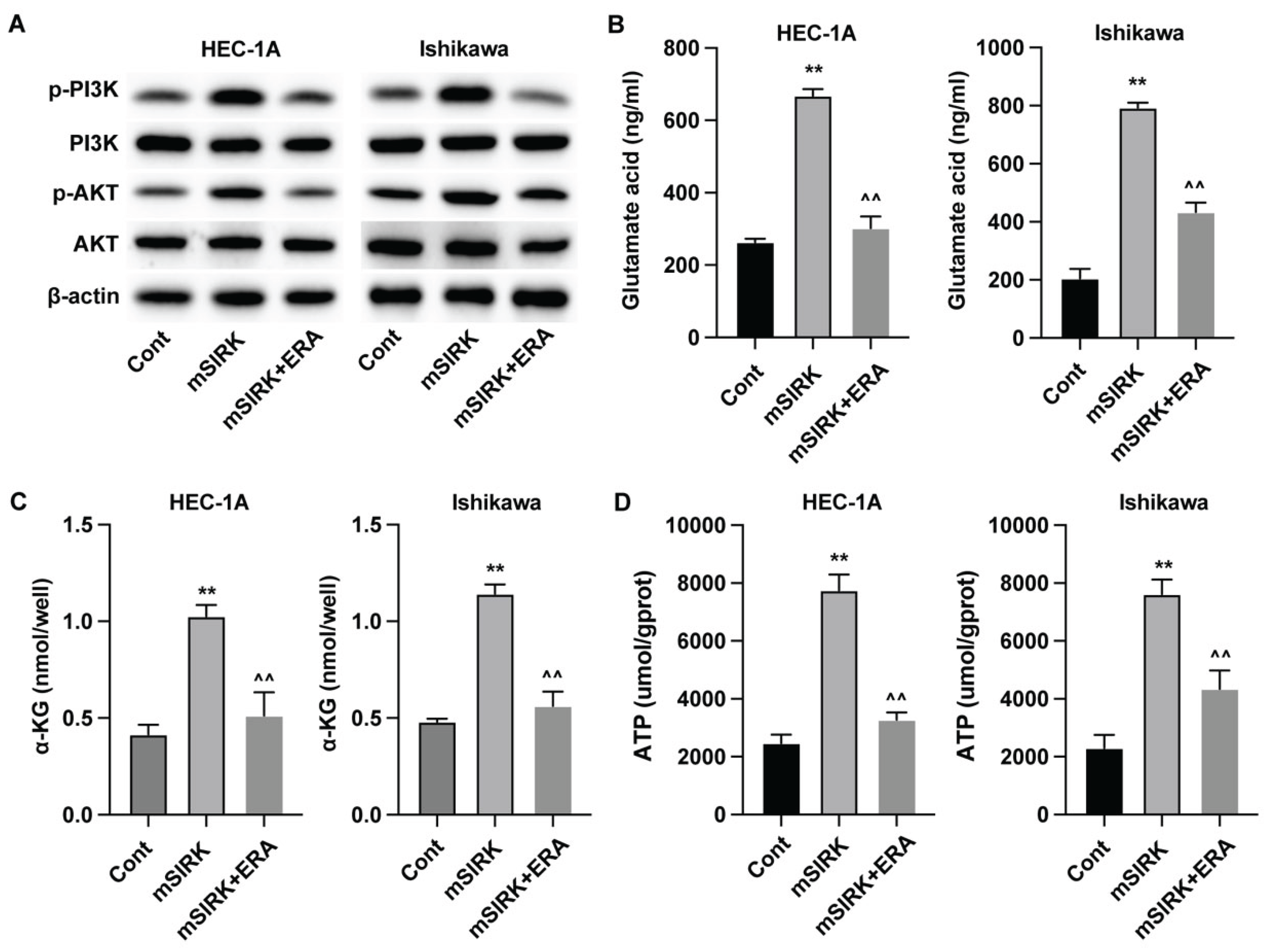 Preprints 164874 g003