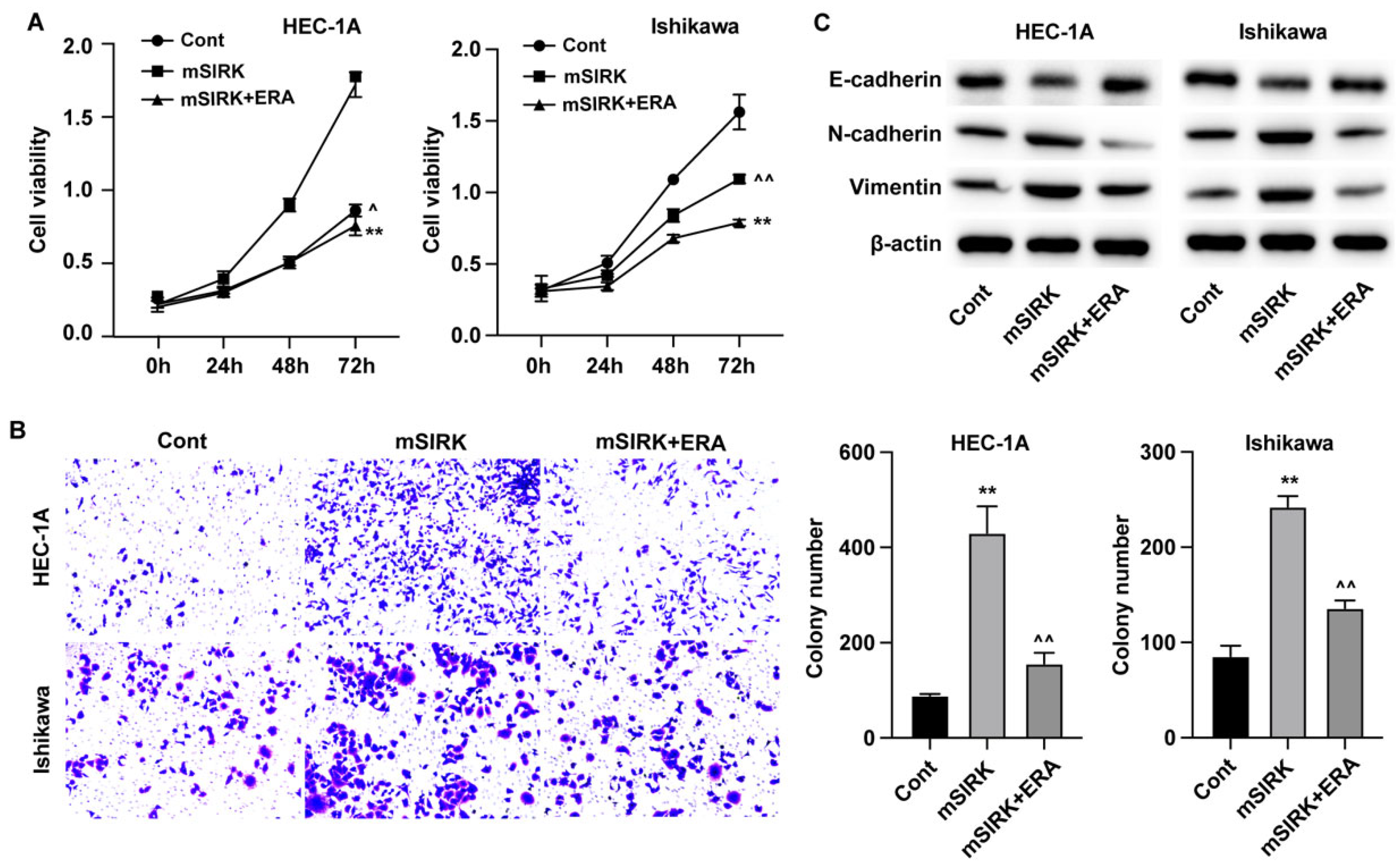 Preprints 164874 g004