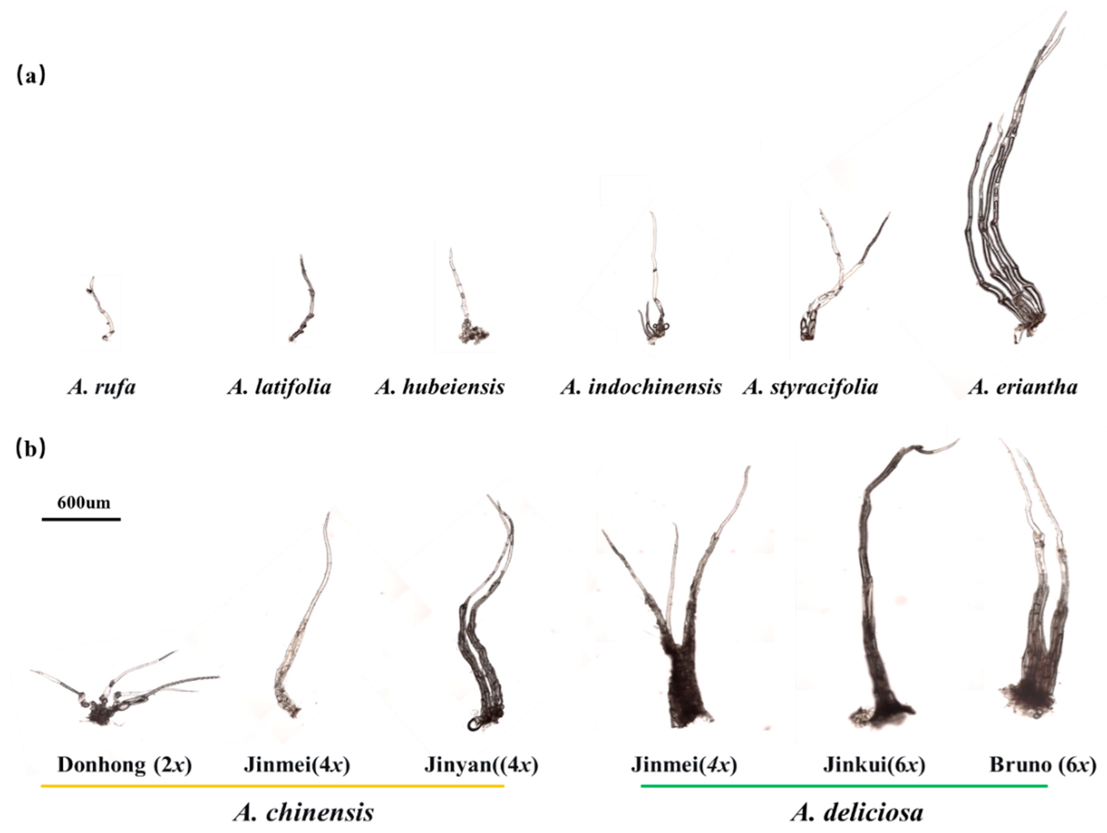 Preprints 196181 g002