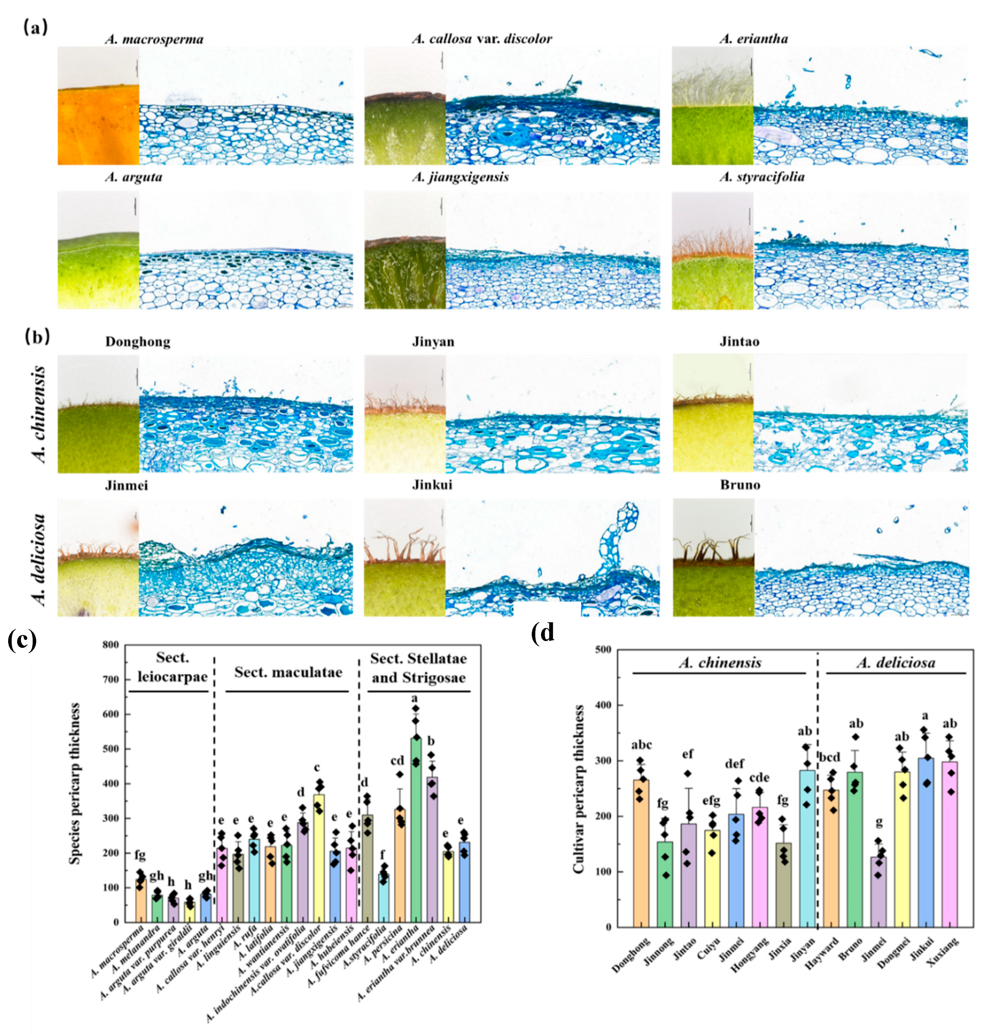 Preprints 196181 g004