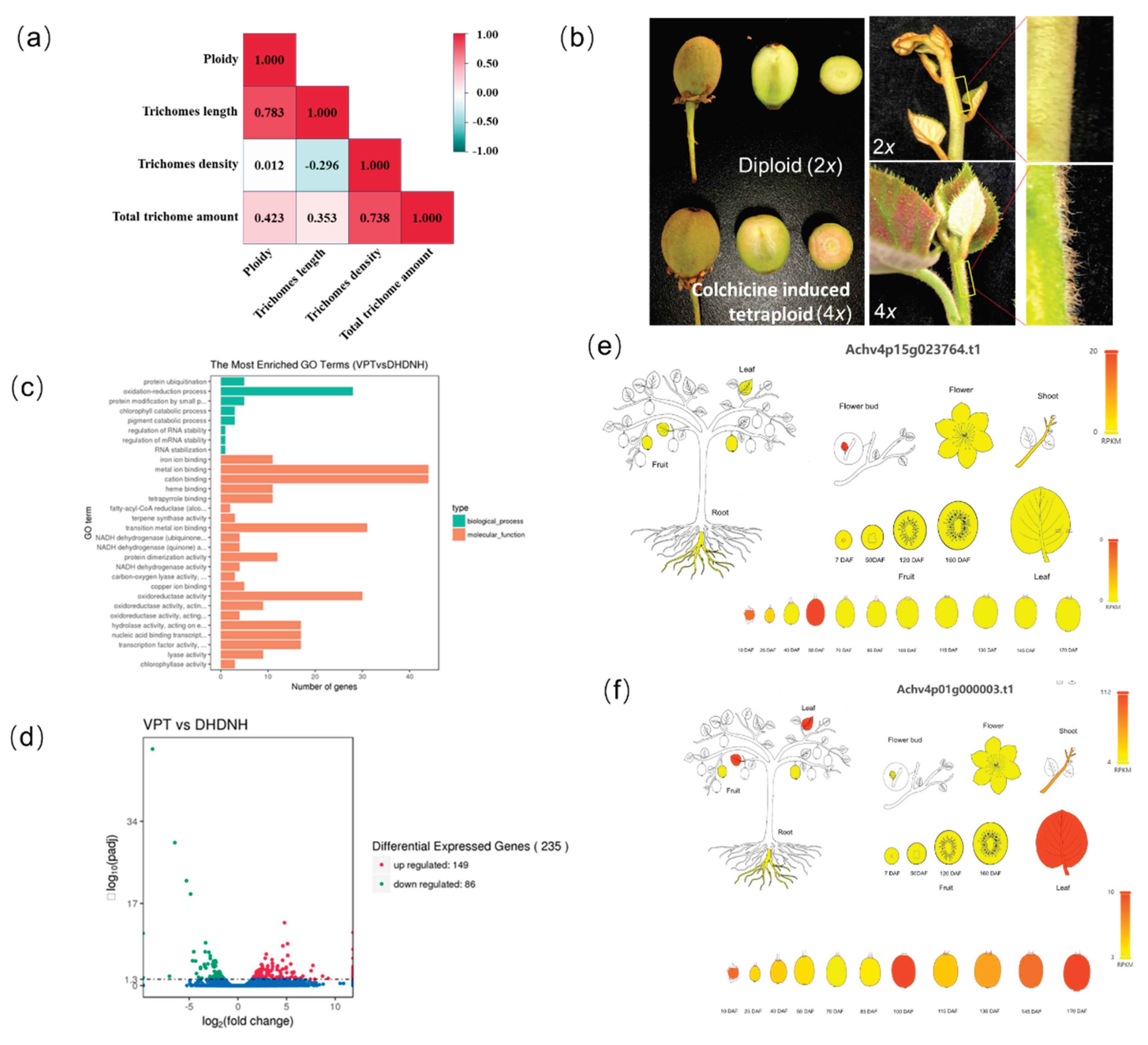 Preprints 196181 g005