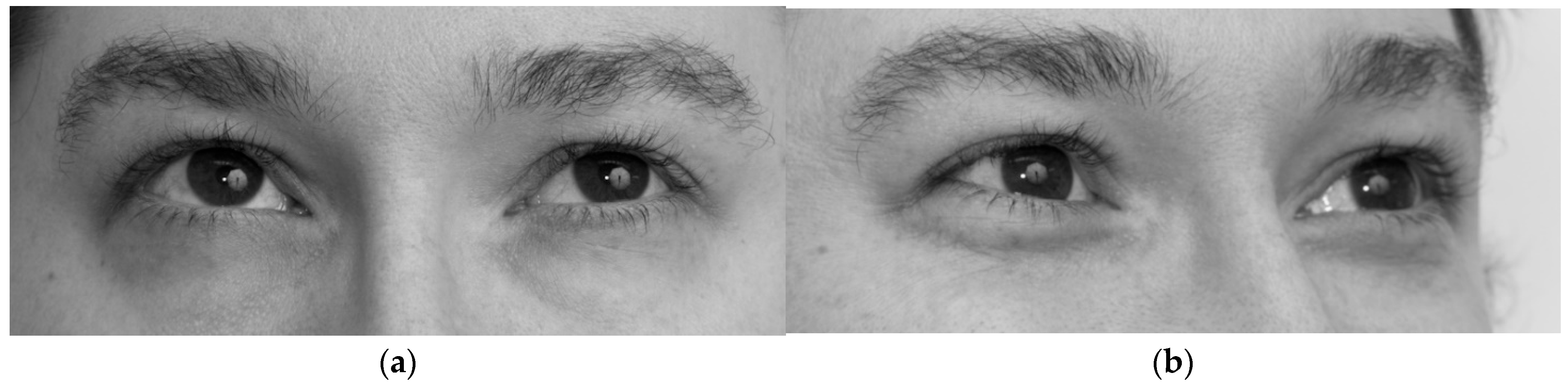 Preprints 180348 g001a