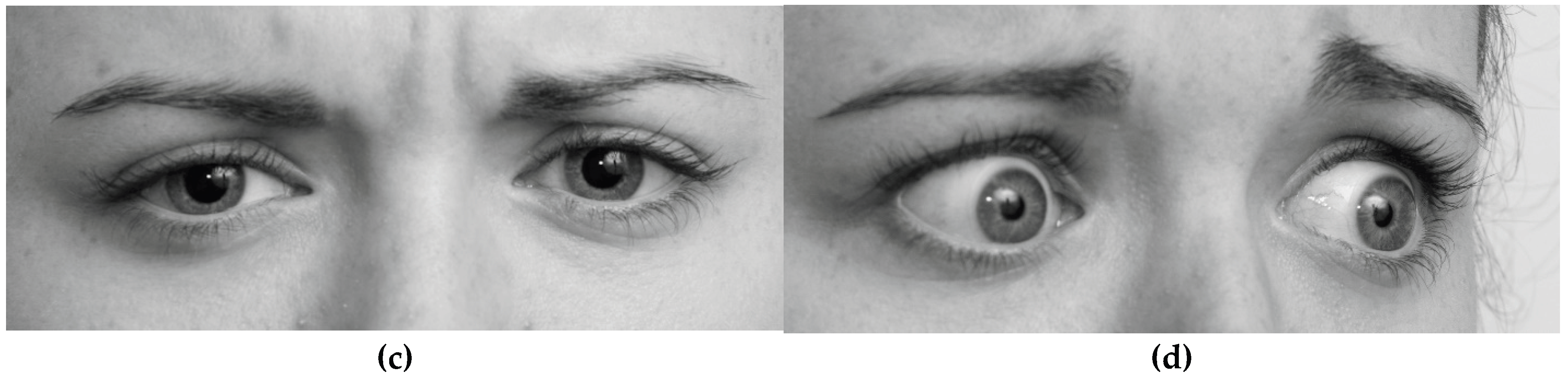 Preprints 180348 g001b