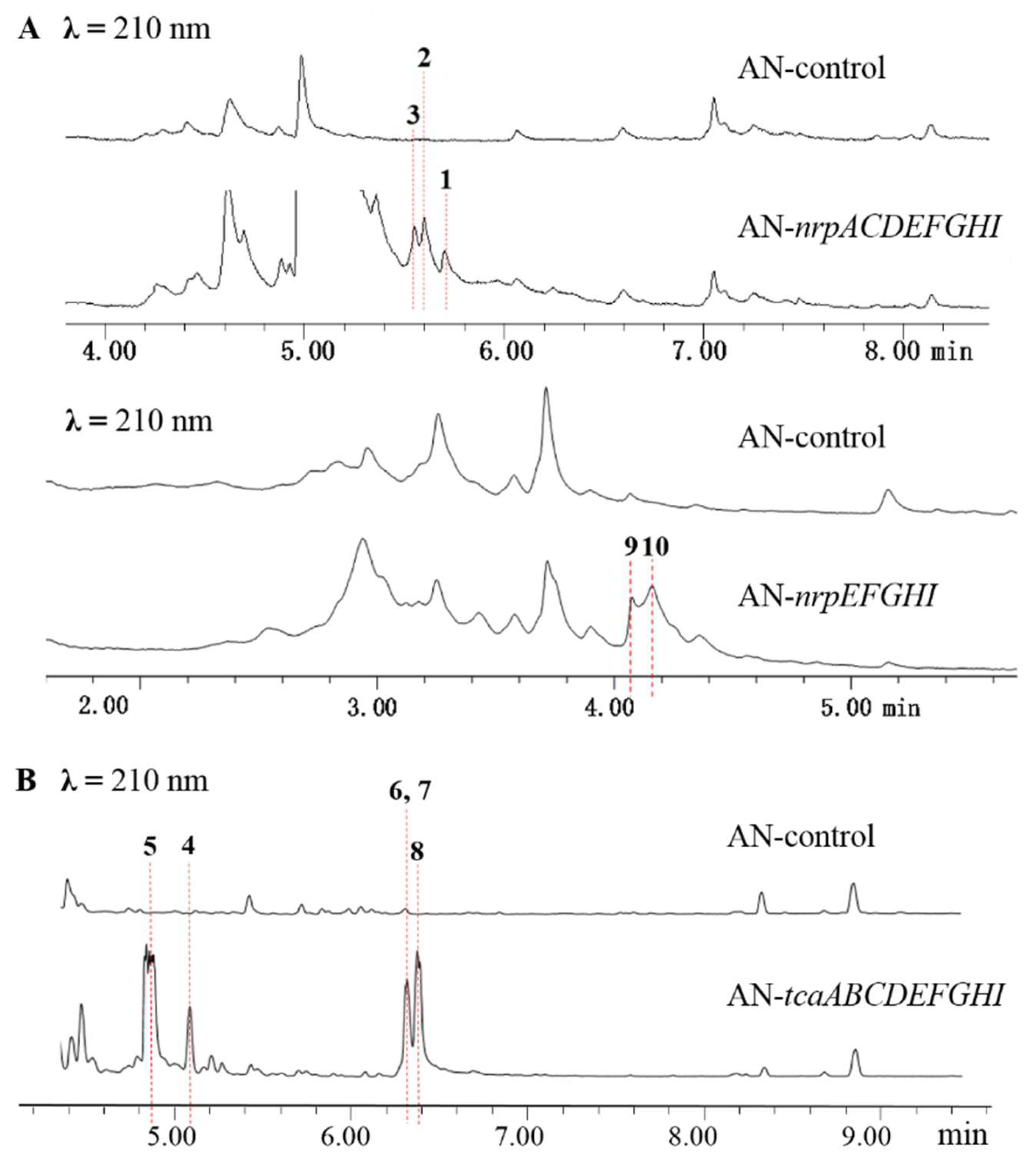 Preprints 211856 g003 Preprints 211856 g003