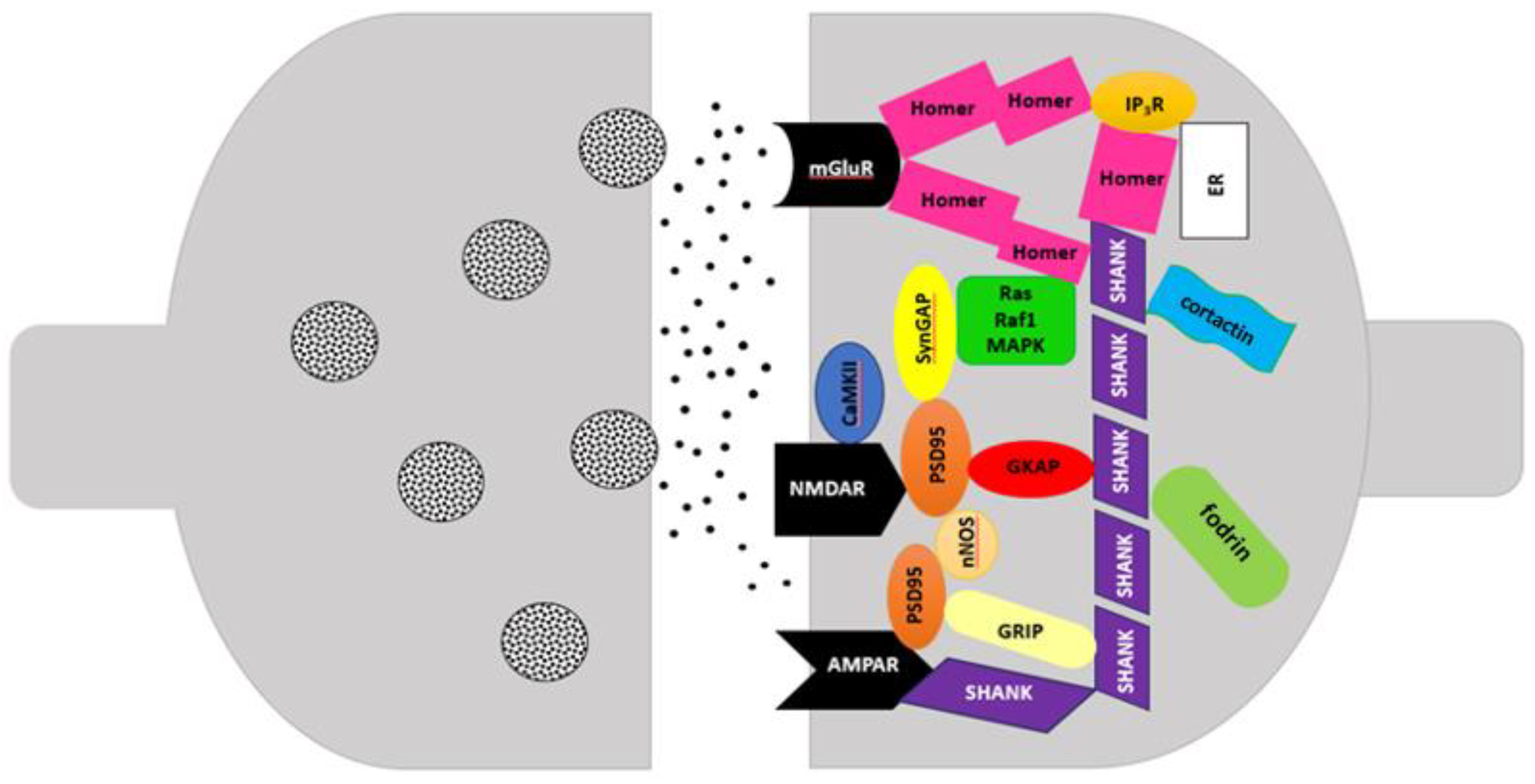 Preprints 164669 g001