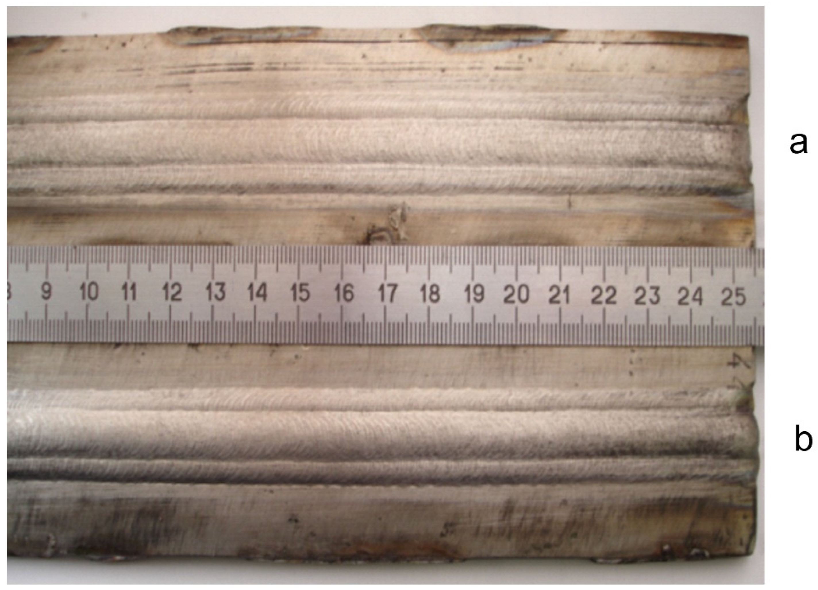 Preprints 145527 g001