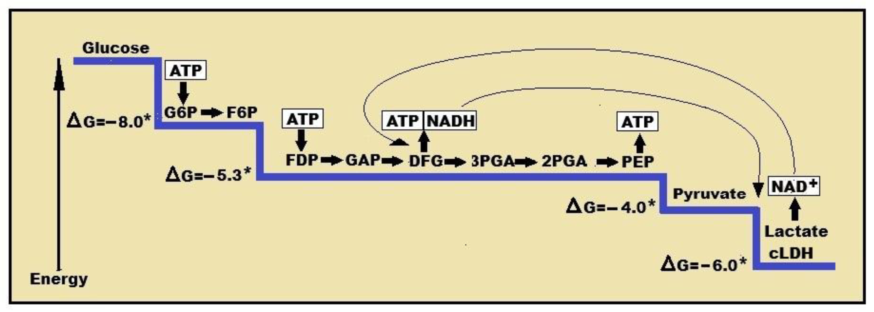 Preprints 195890 g001