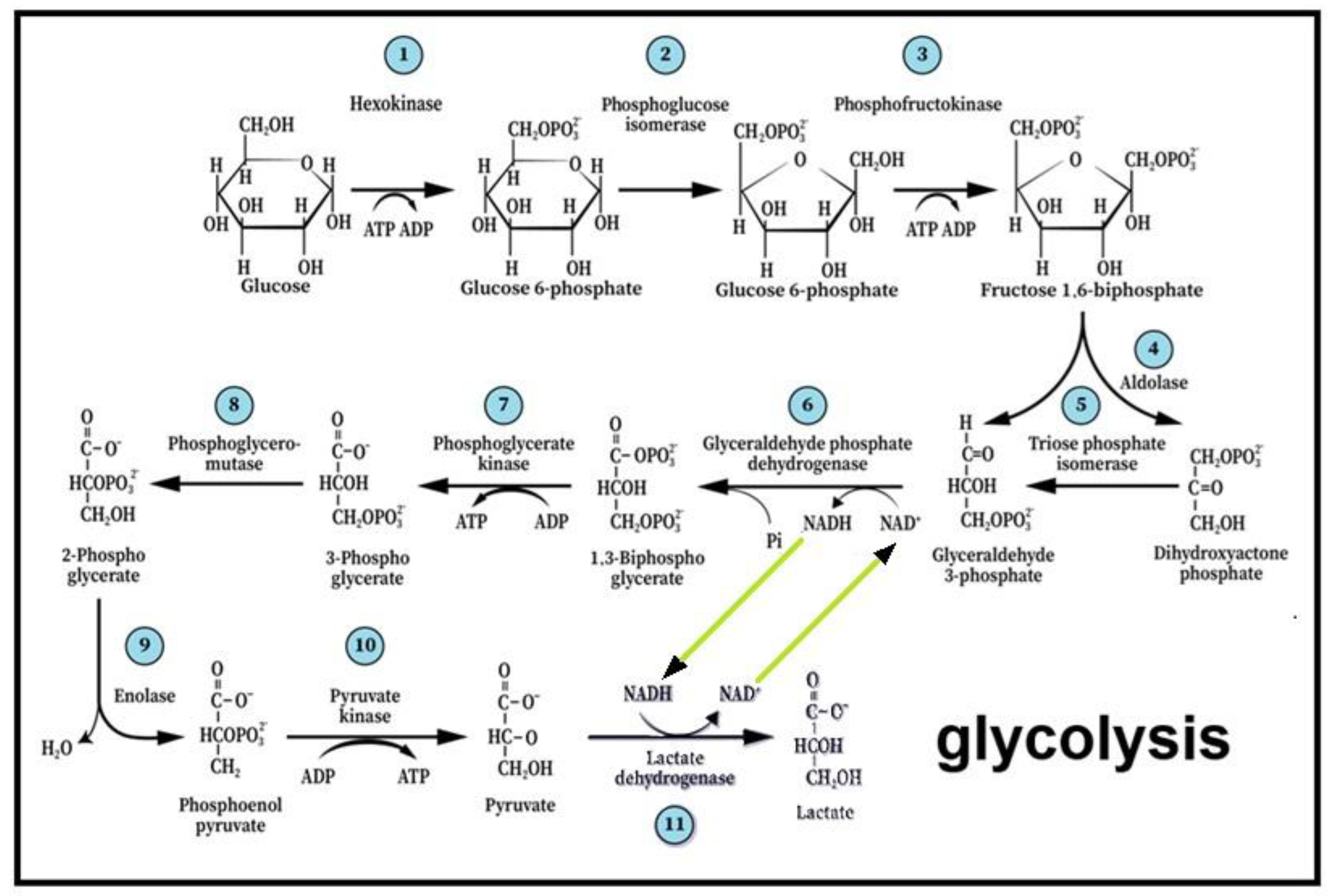 Preprints 195890 g002