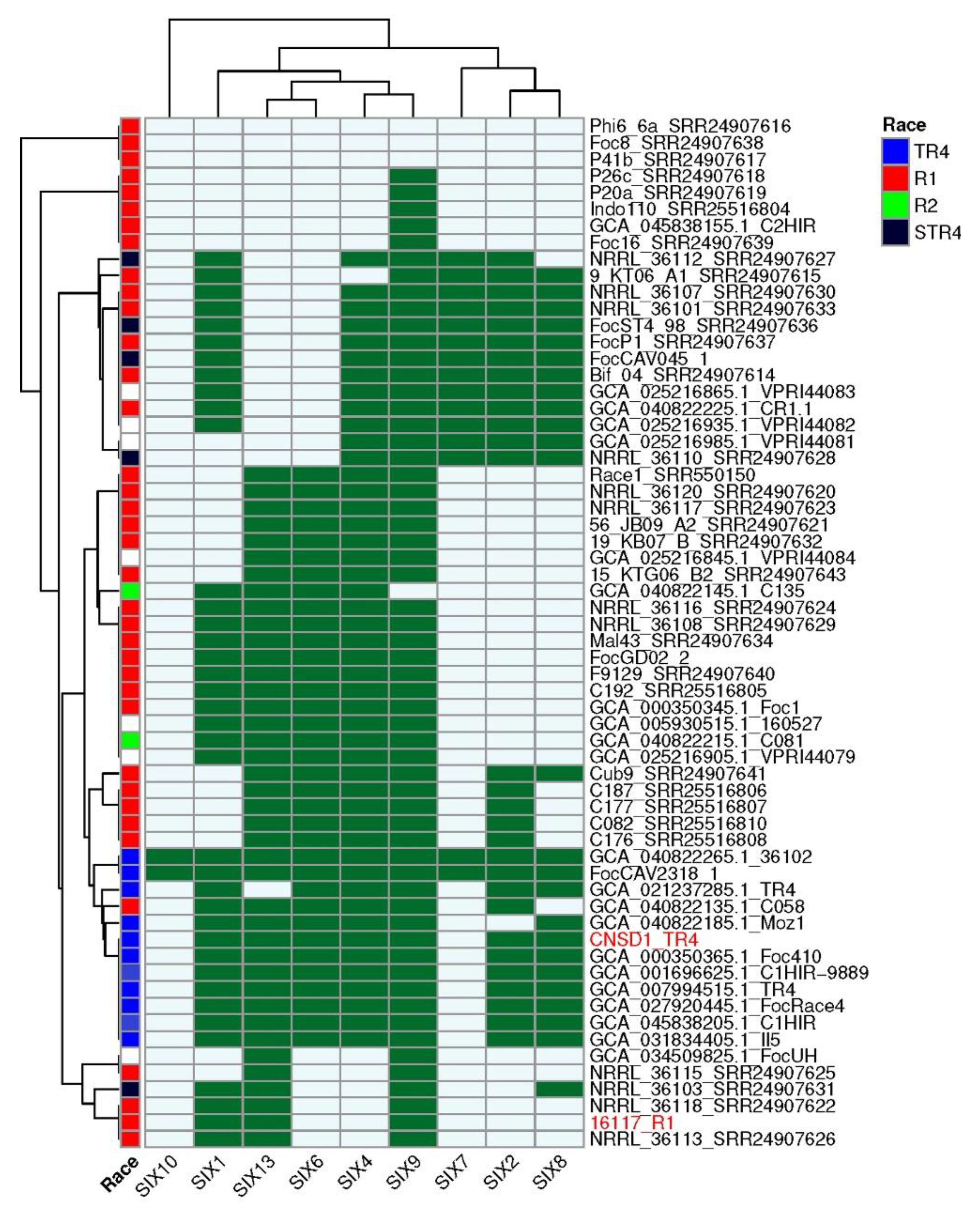 Preprints 153380 g004