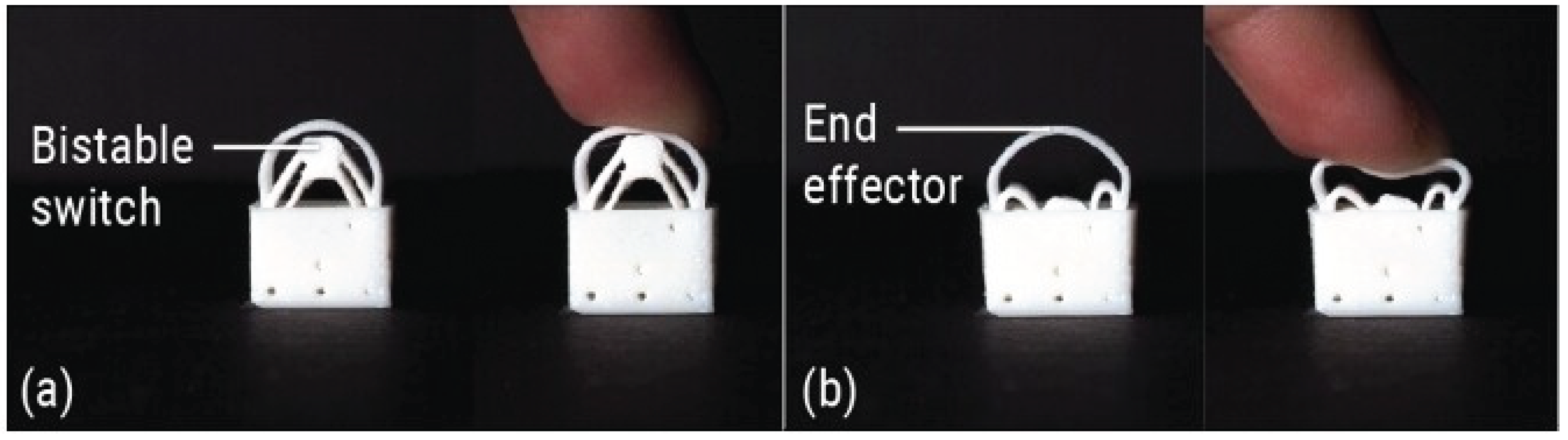 Preprints 186073 g002