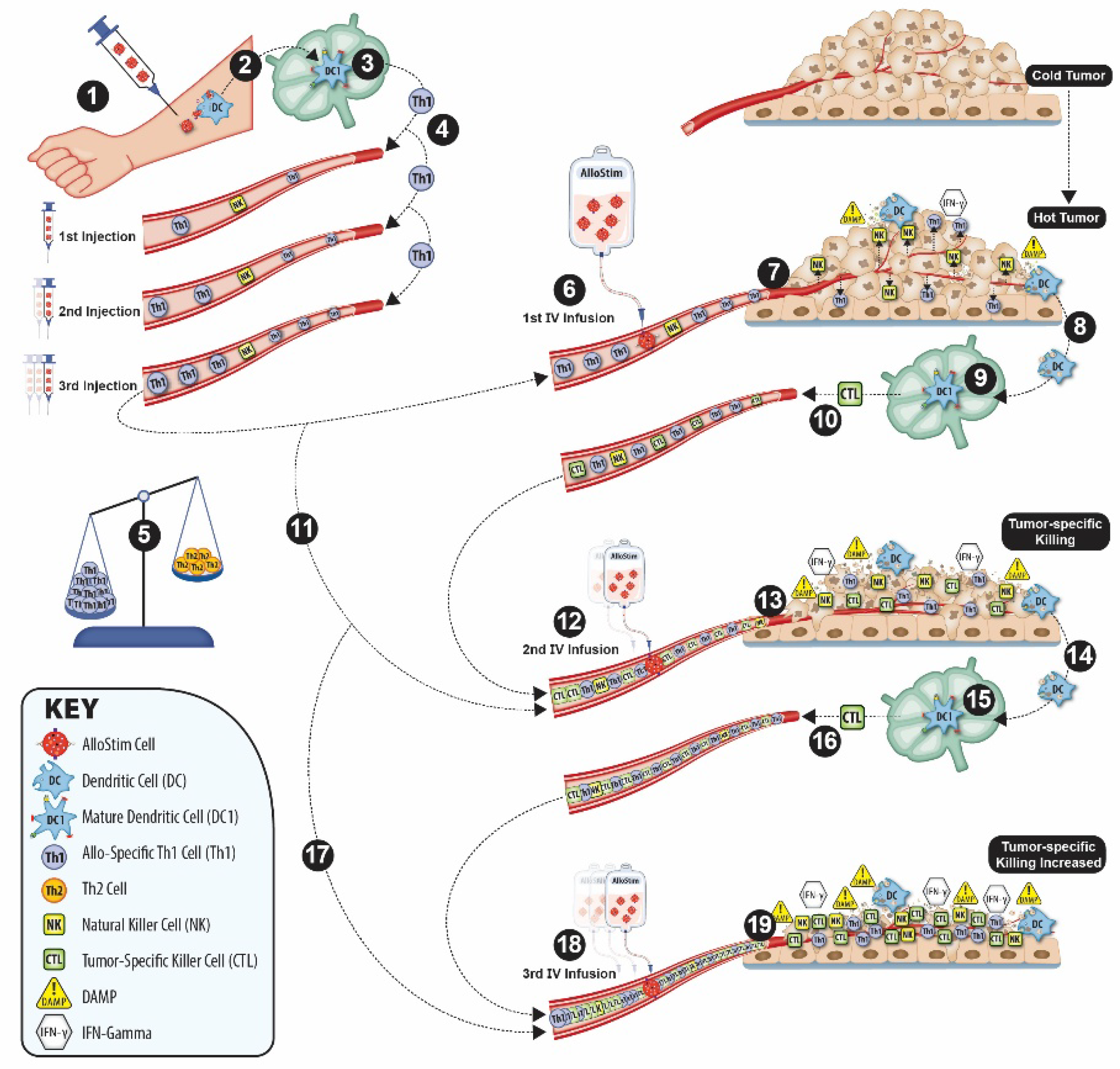Preprints 172859 g001