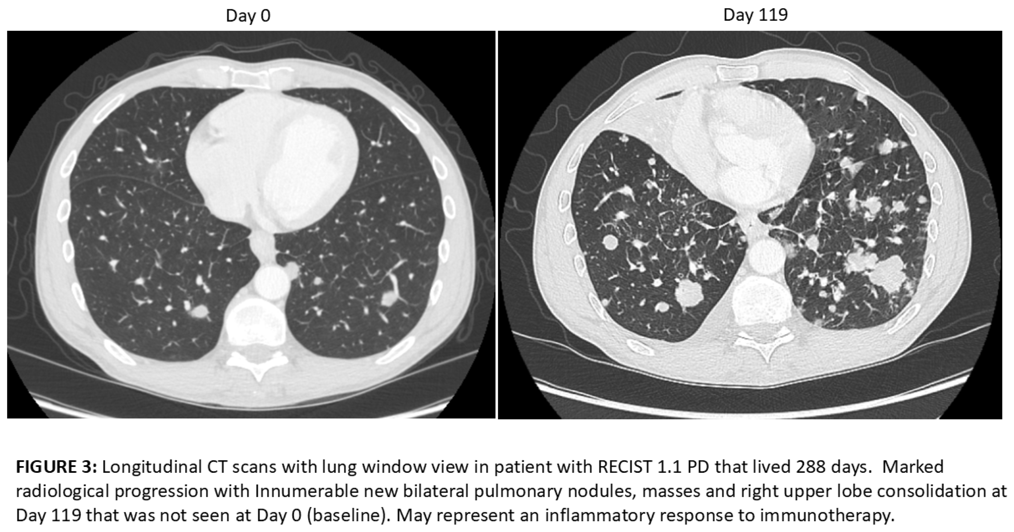 Preprints 172859 i001