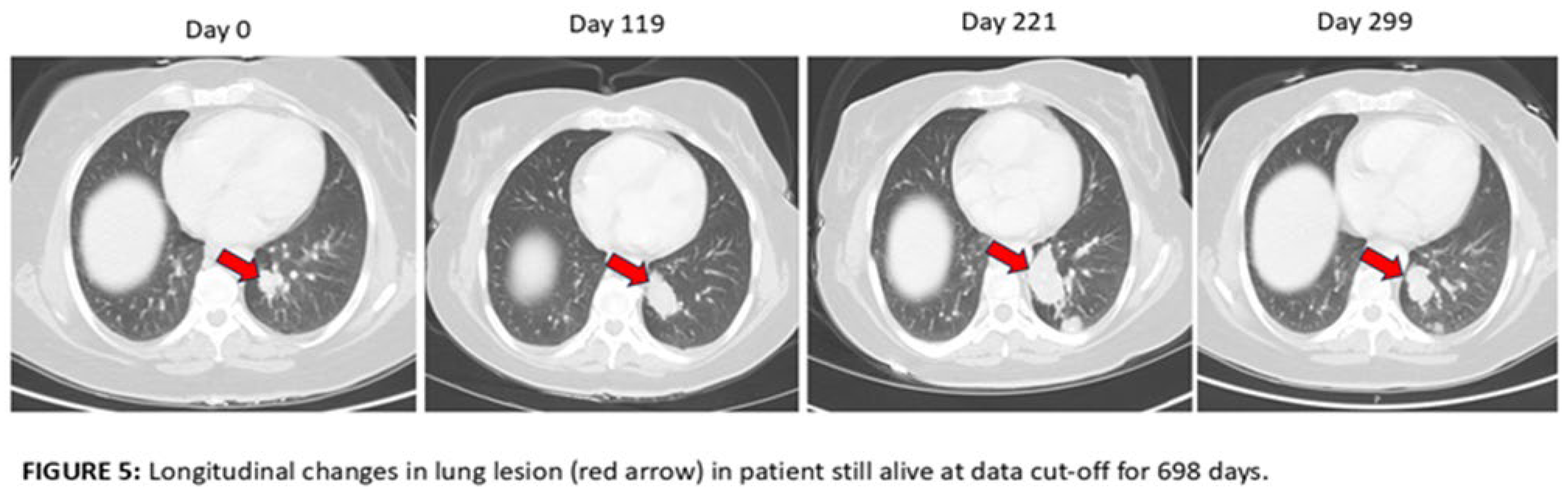 Preprints 172859 i003