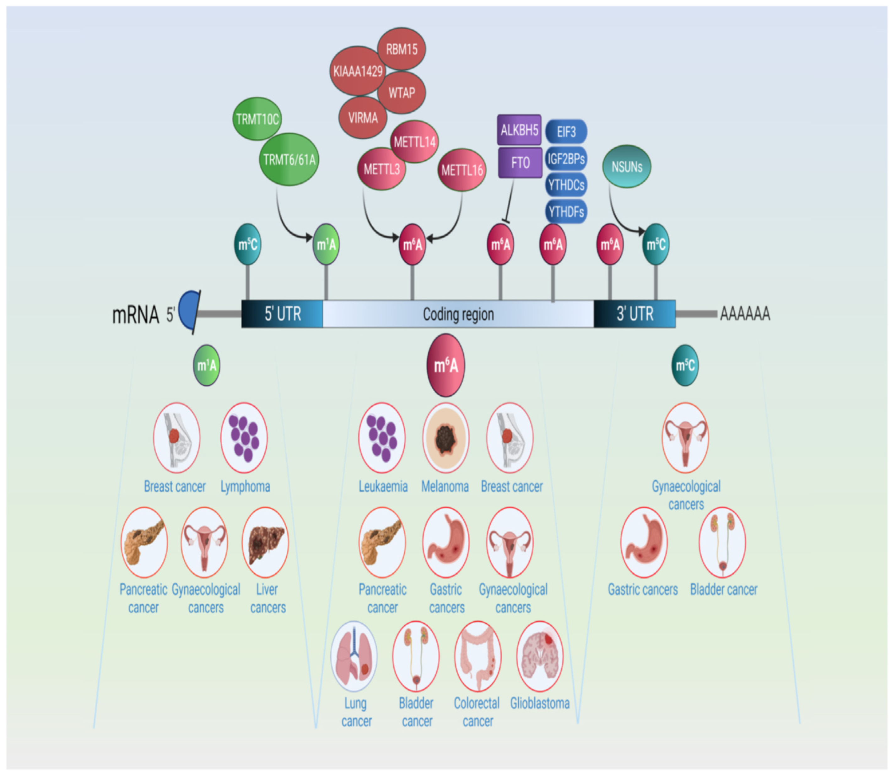 Preprints 145474 g001