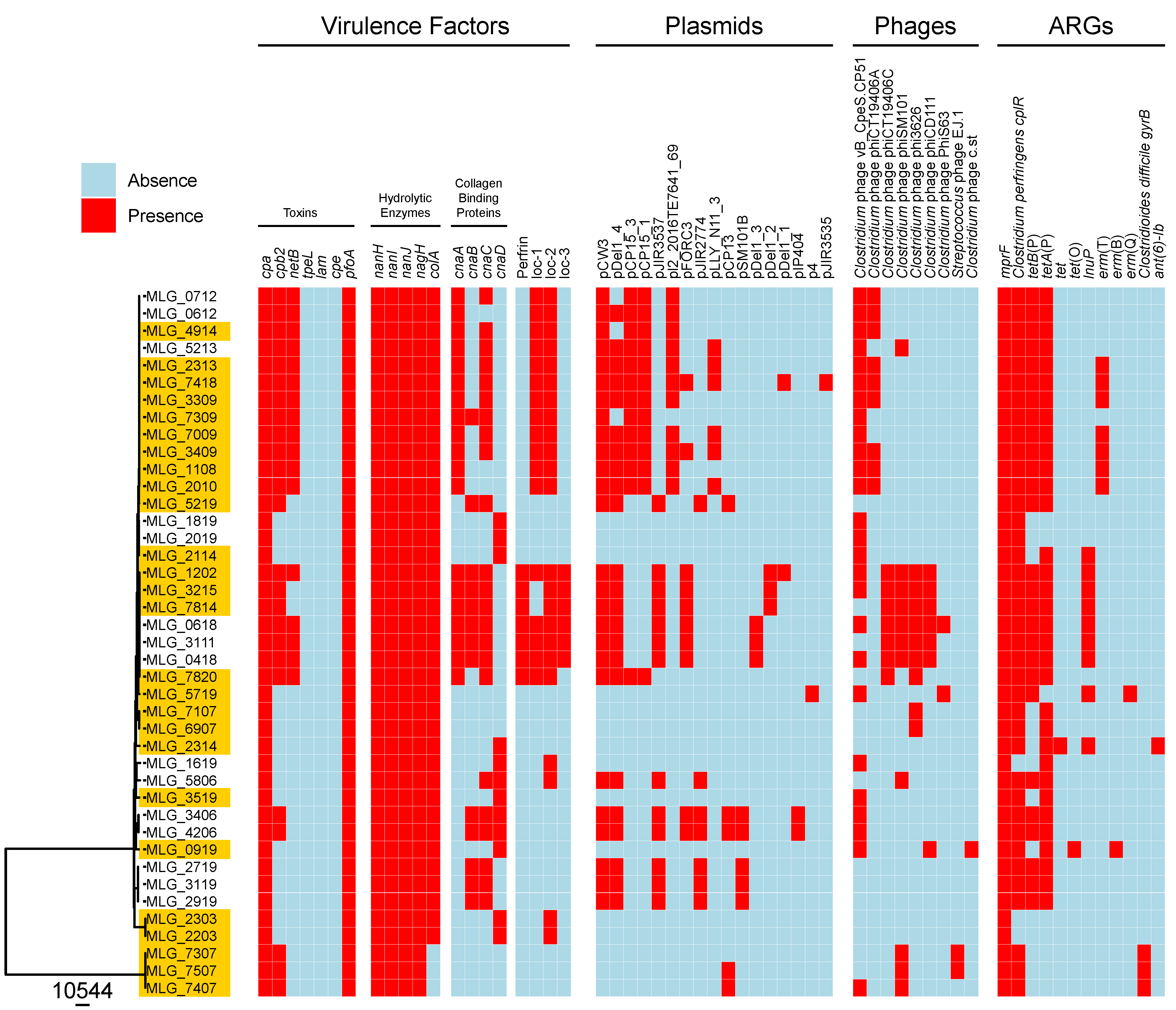 Preprints 141092 g002