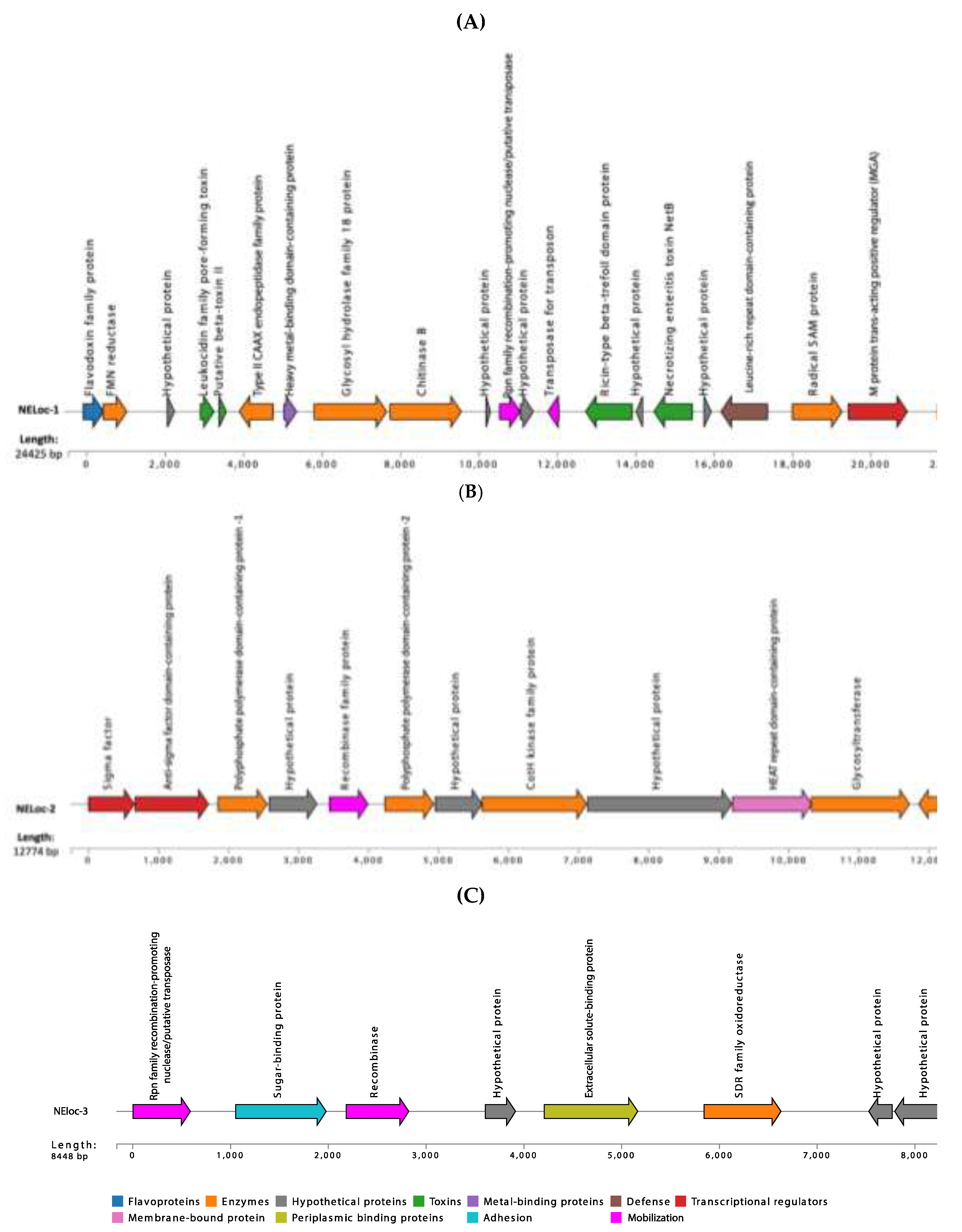 Preprints 141092 g003