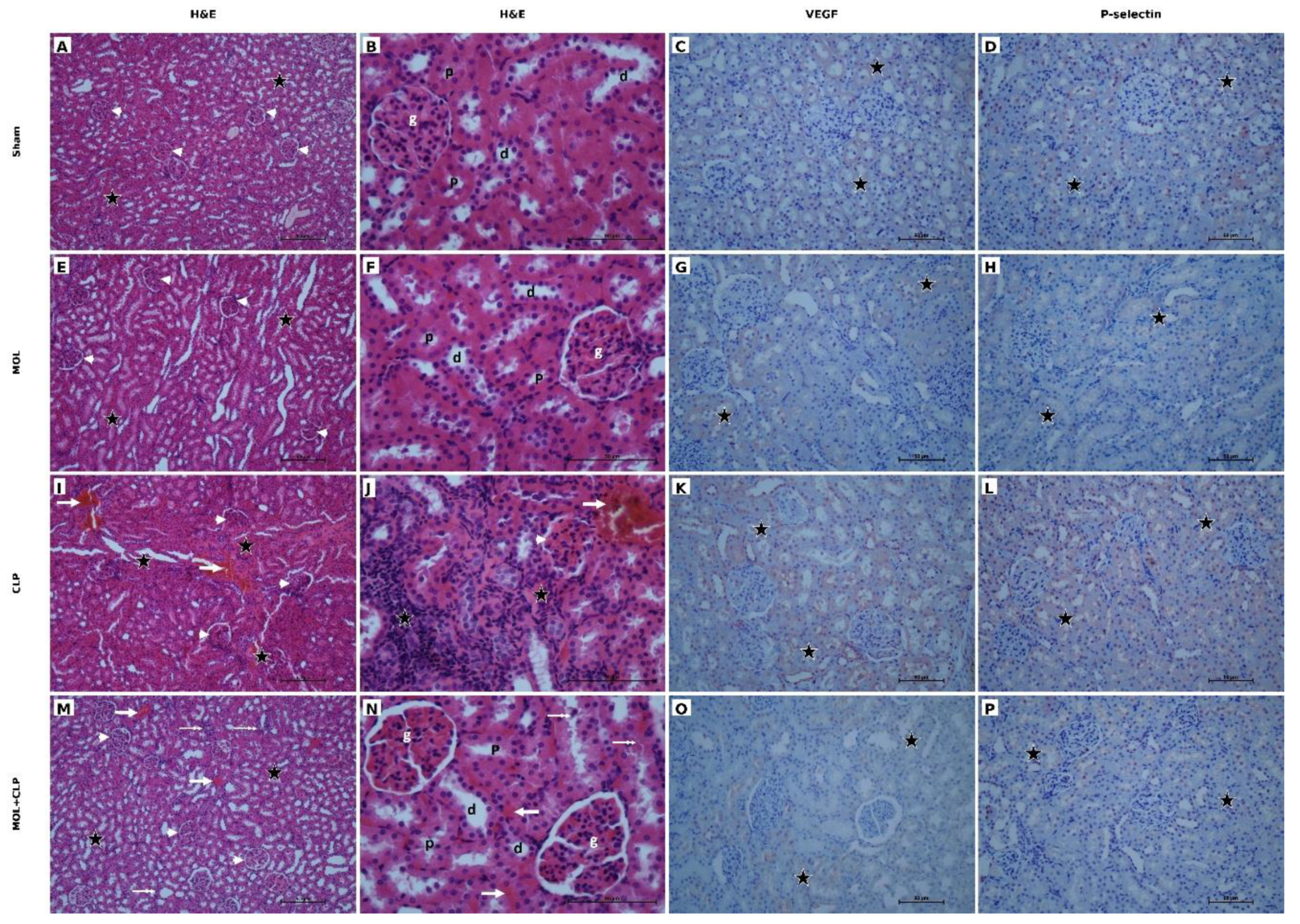 Preprints 231618 g001 Preprints 231618 g001