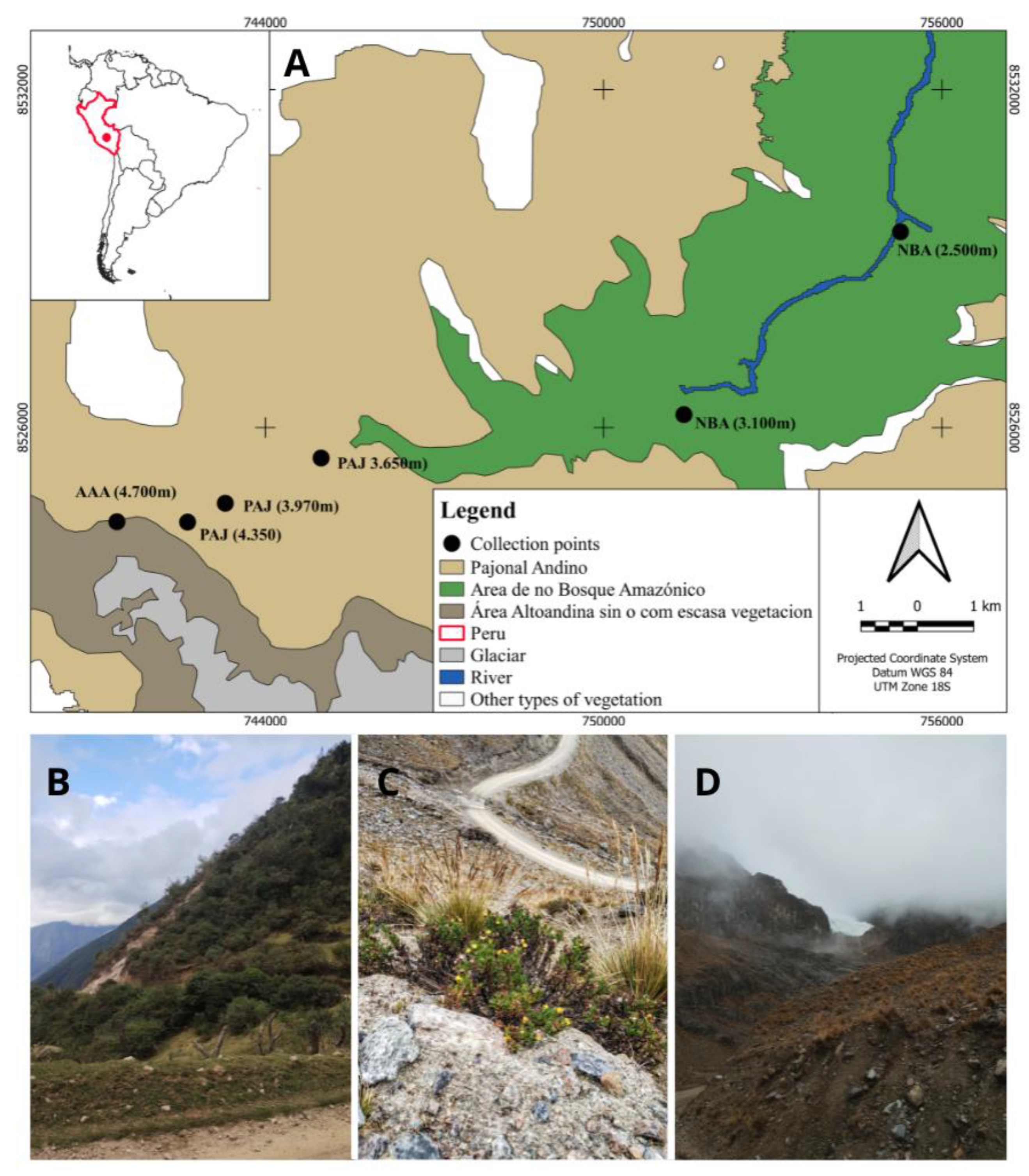 Preprints 174703 g001