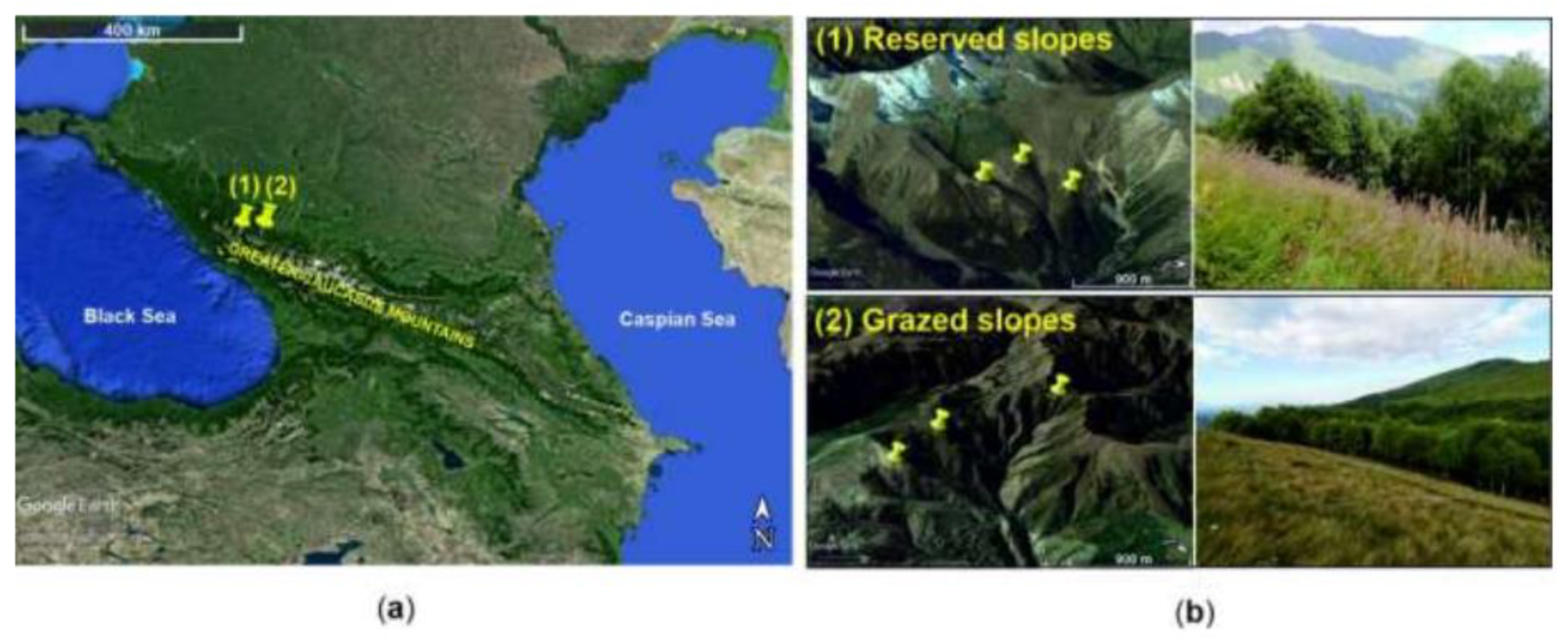 Preprints 159350 g005
