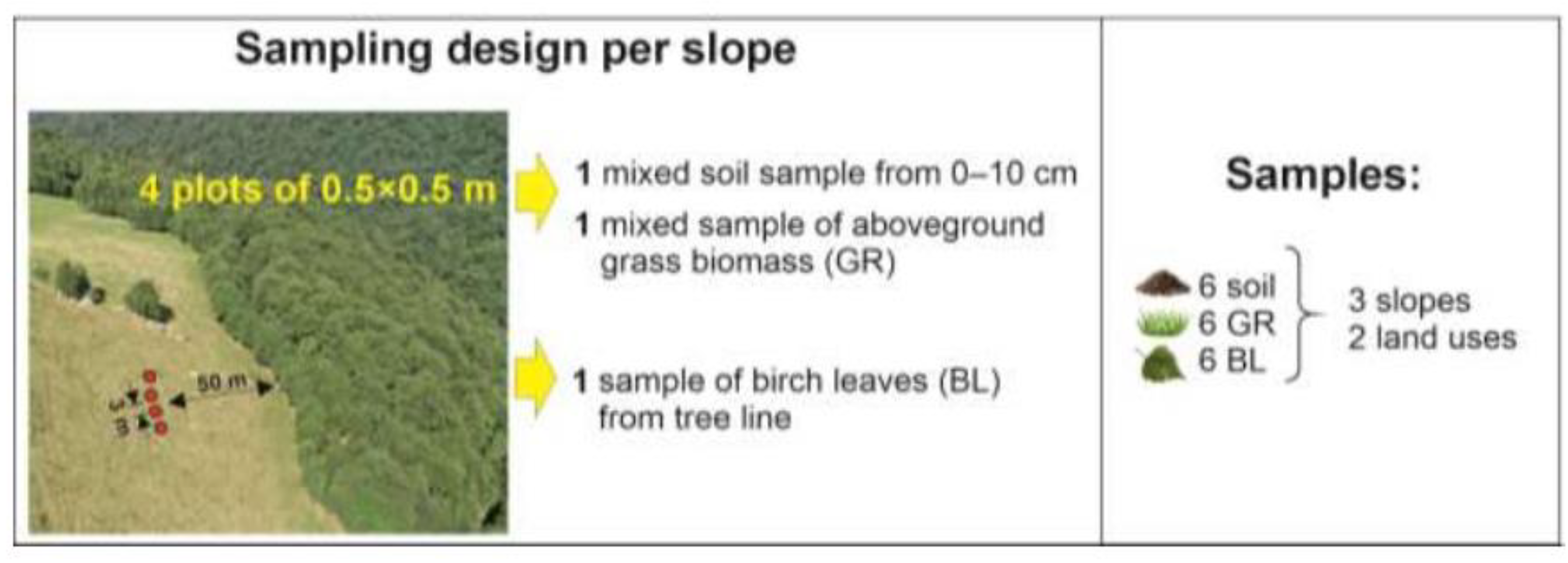 Preprints 159350 g006