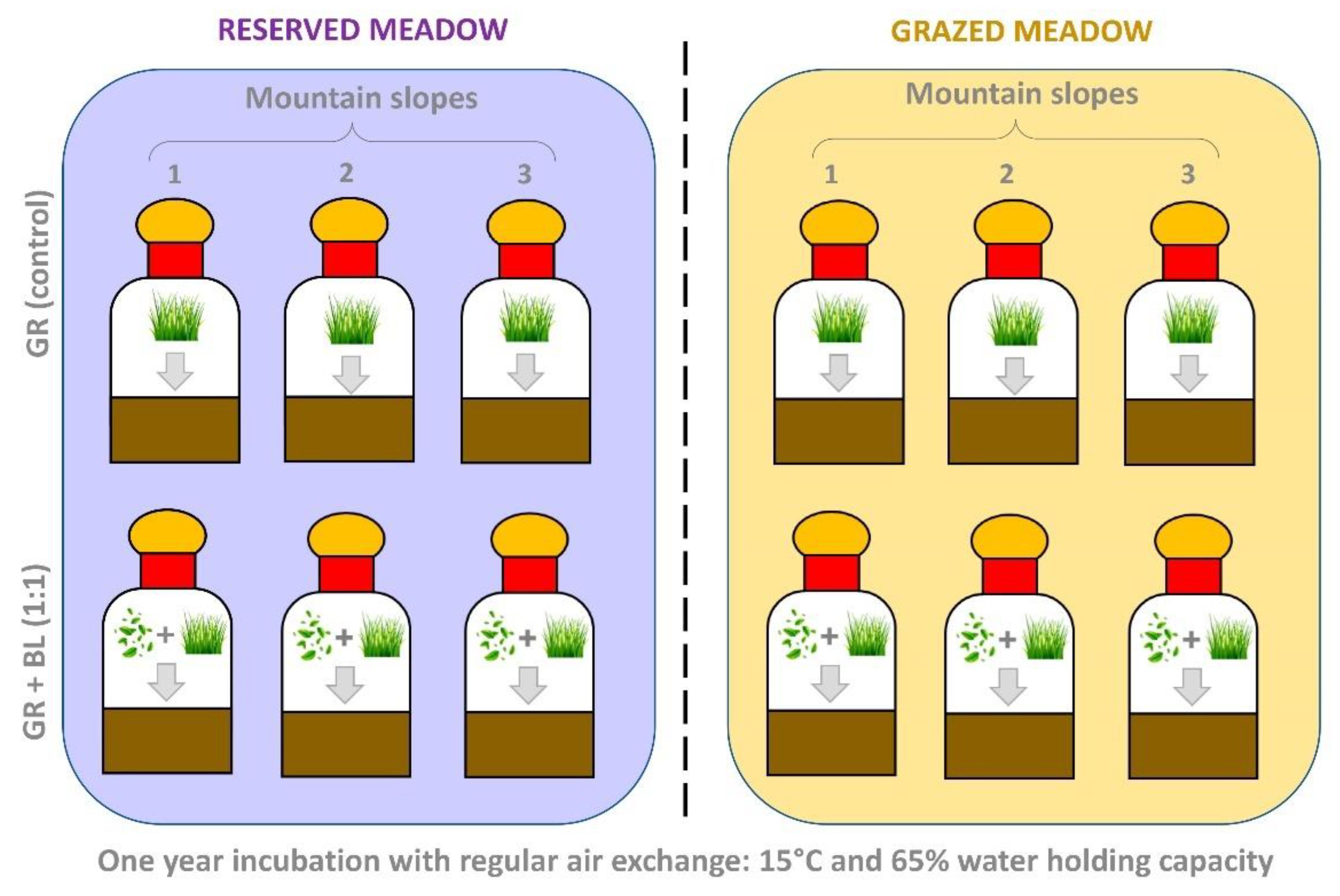 Preprints 159350 g007