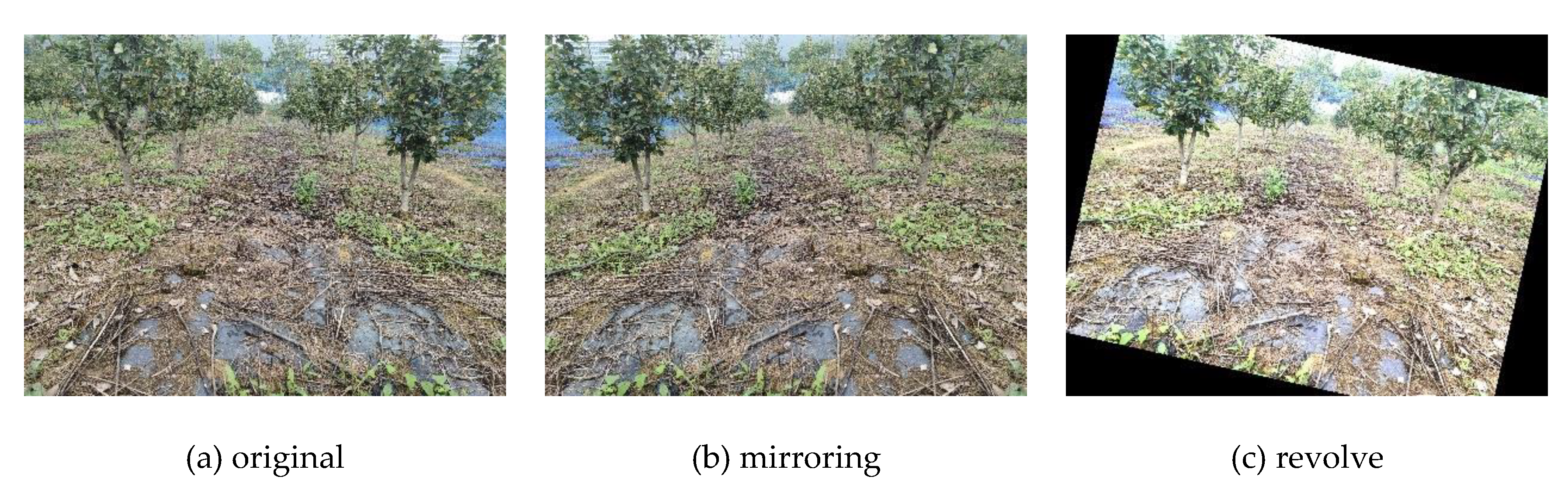 Preprints 161017 g002a