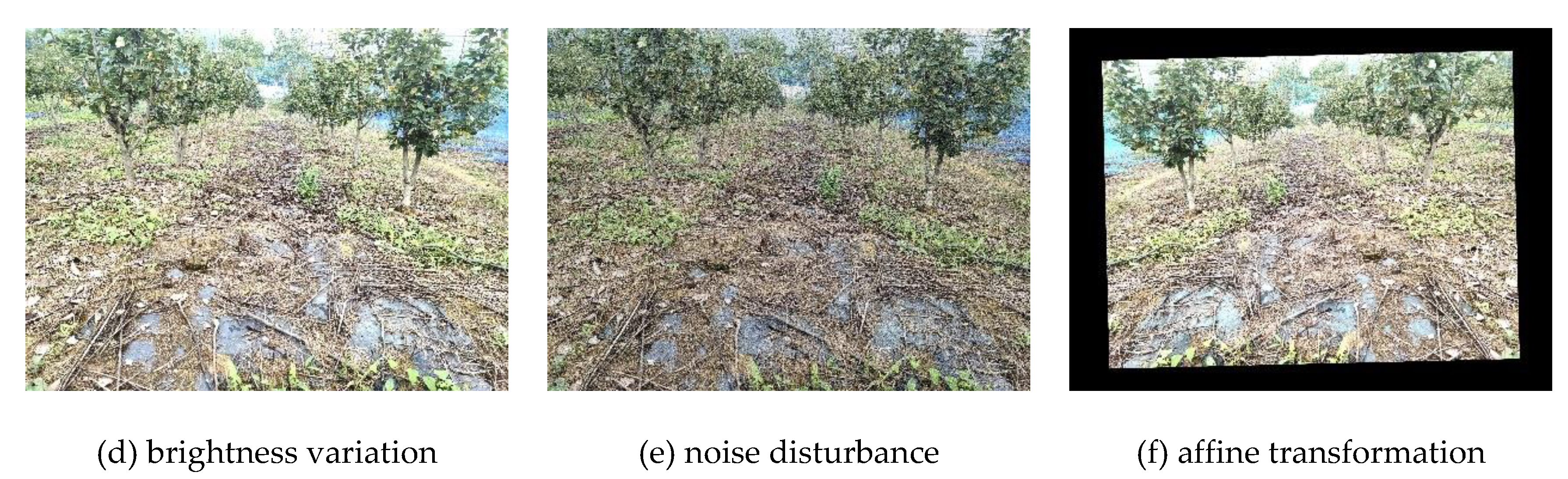 Preprints 161017 g002b