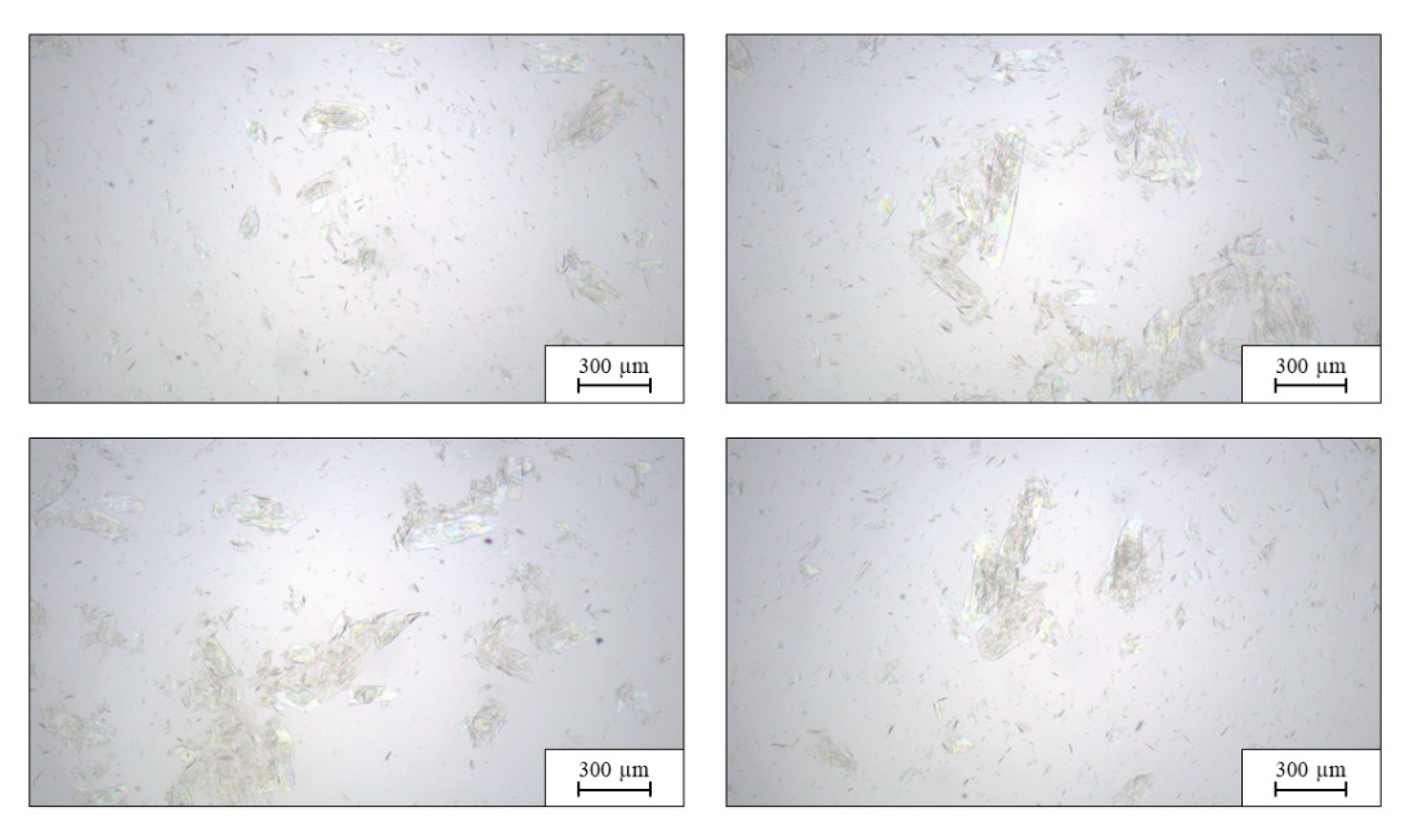 Preprints 211990 g006 Preprints 211990 g006