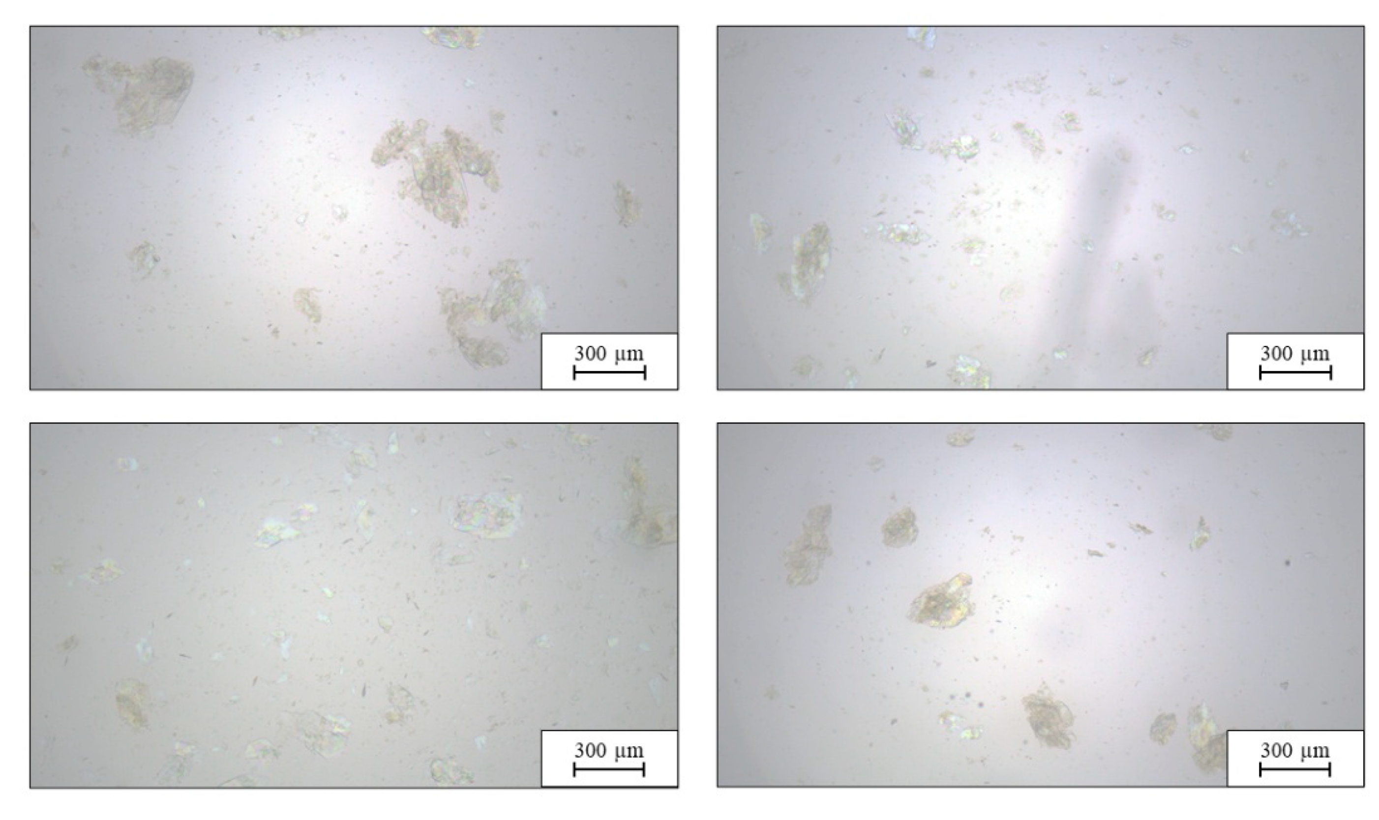 Preprints 211990 g008 Preprints 211990 g008