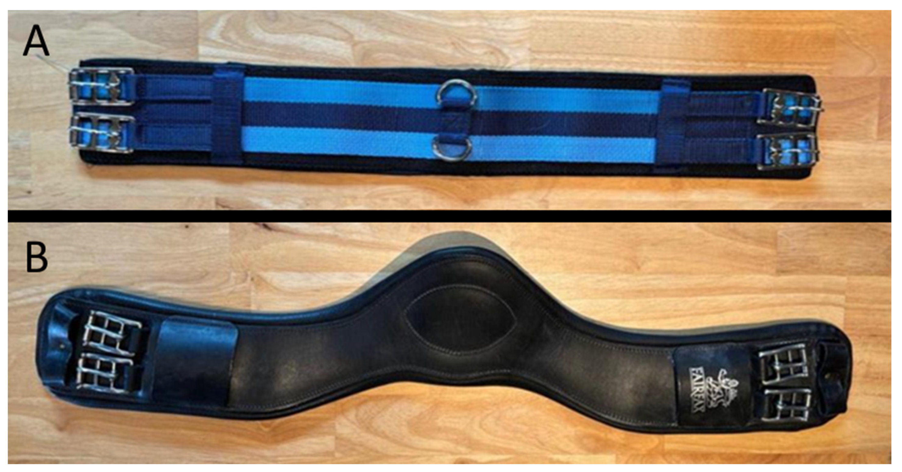 Preprints 164670 g002