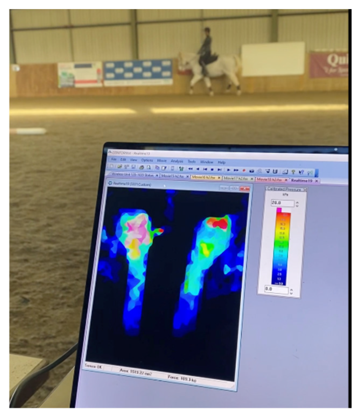 Preprints 164670 g003