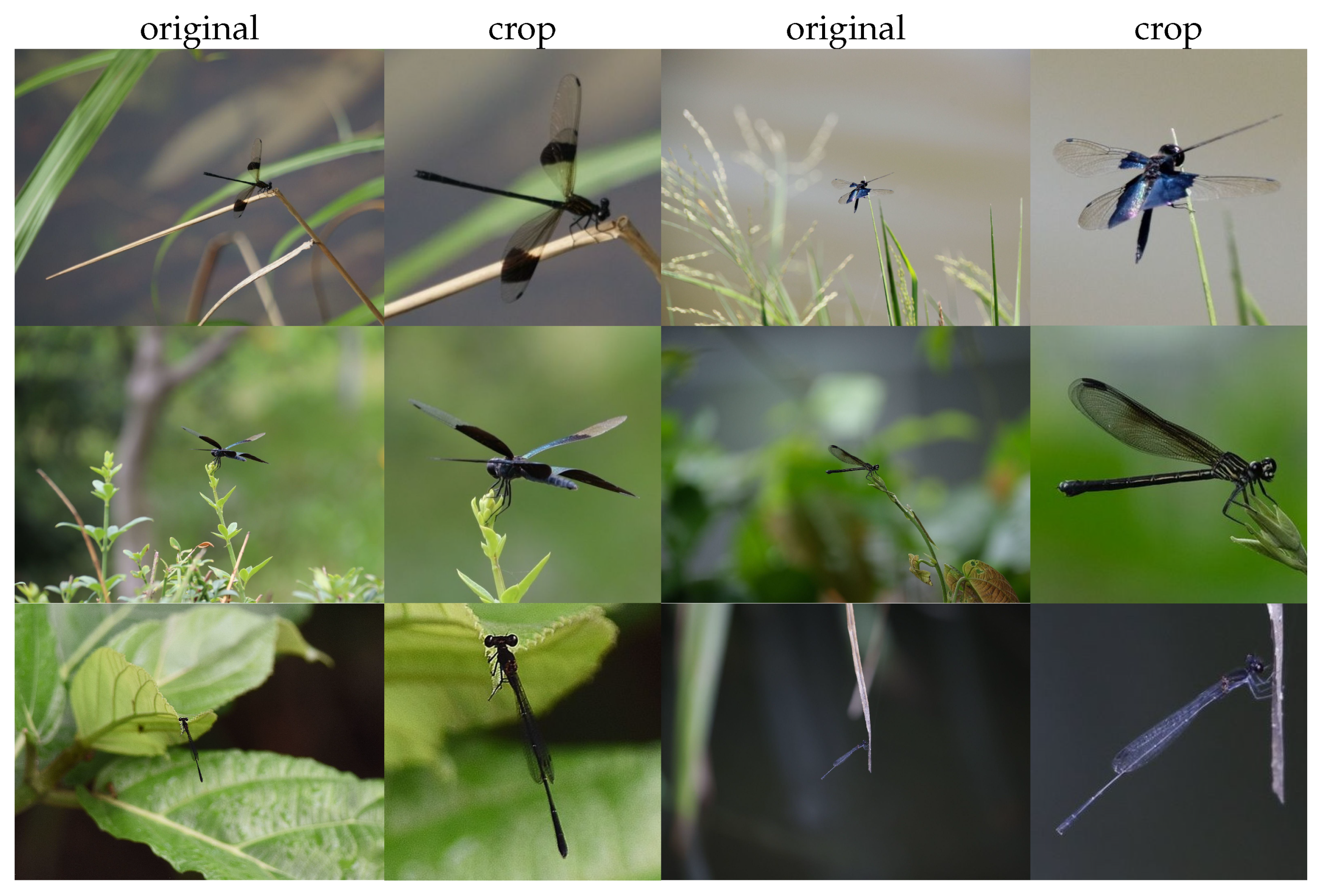 Preprints 162132 g002