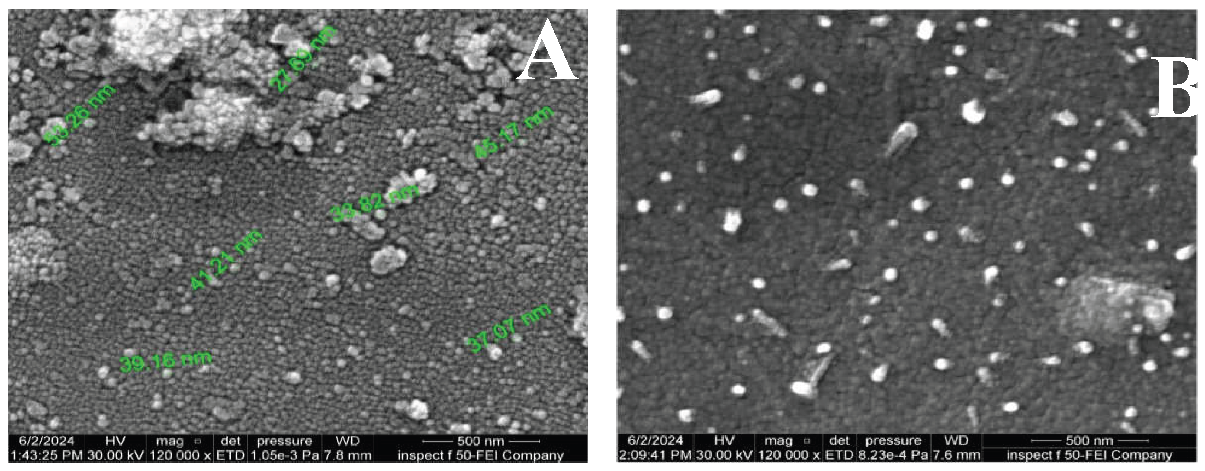 Preprints 200859 g004a