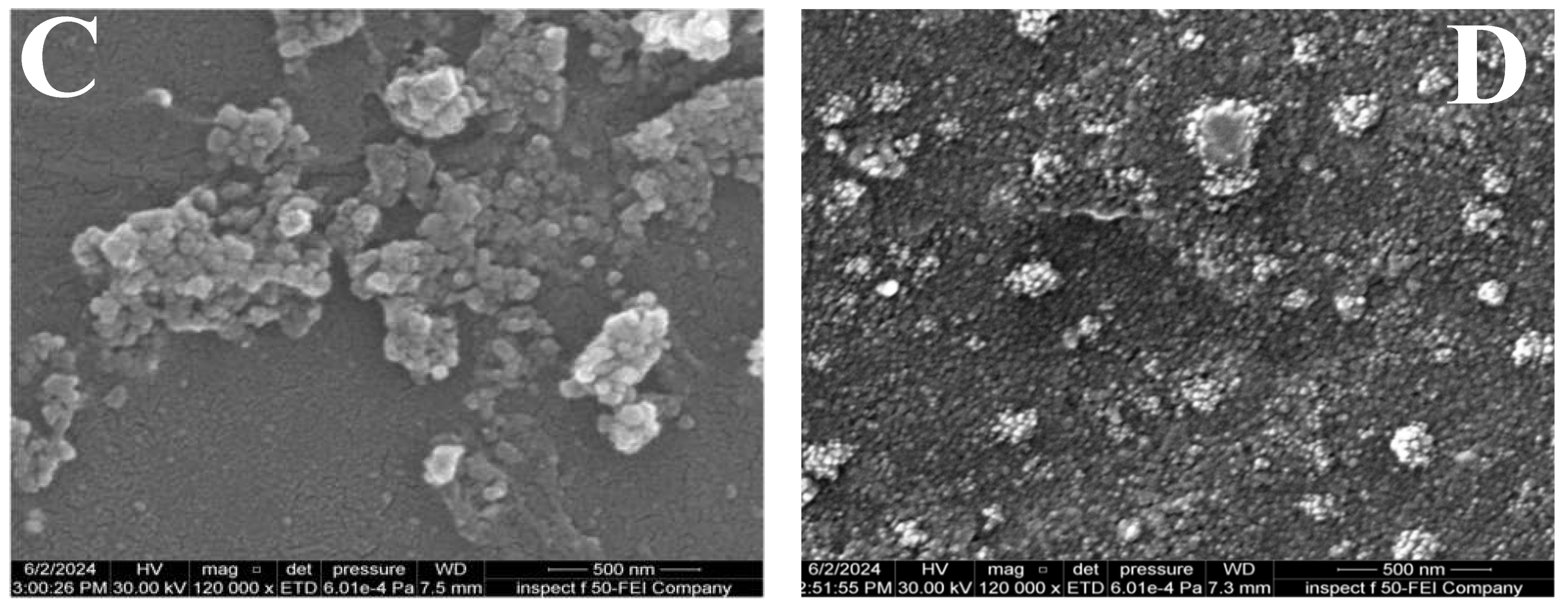 Preprints 200859 g004b