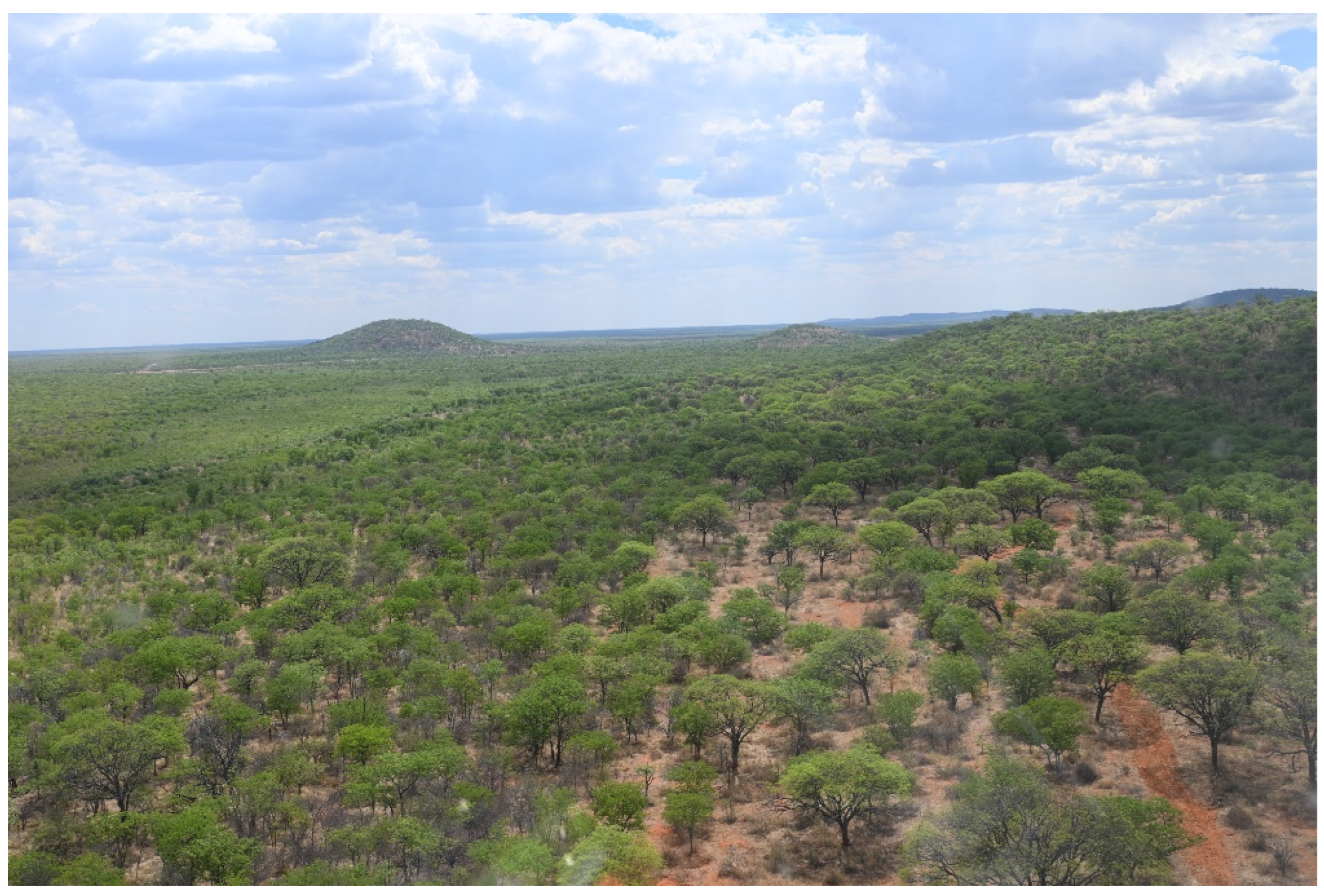 Preprints 195100 g002