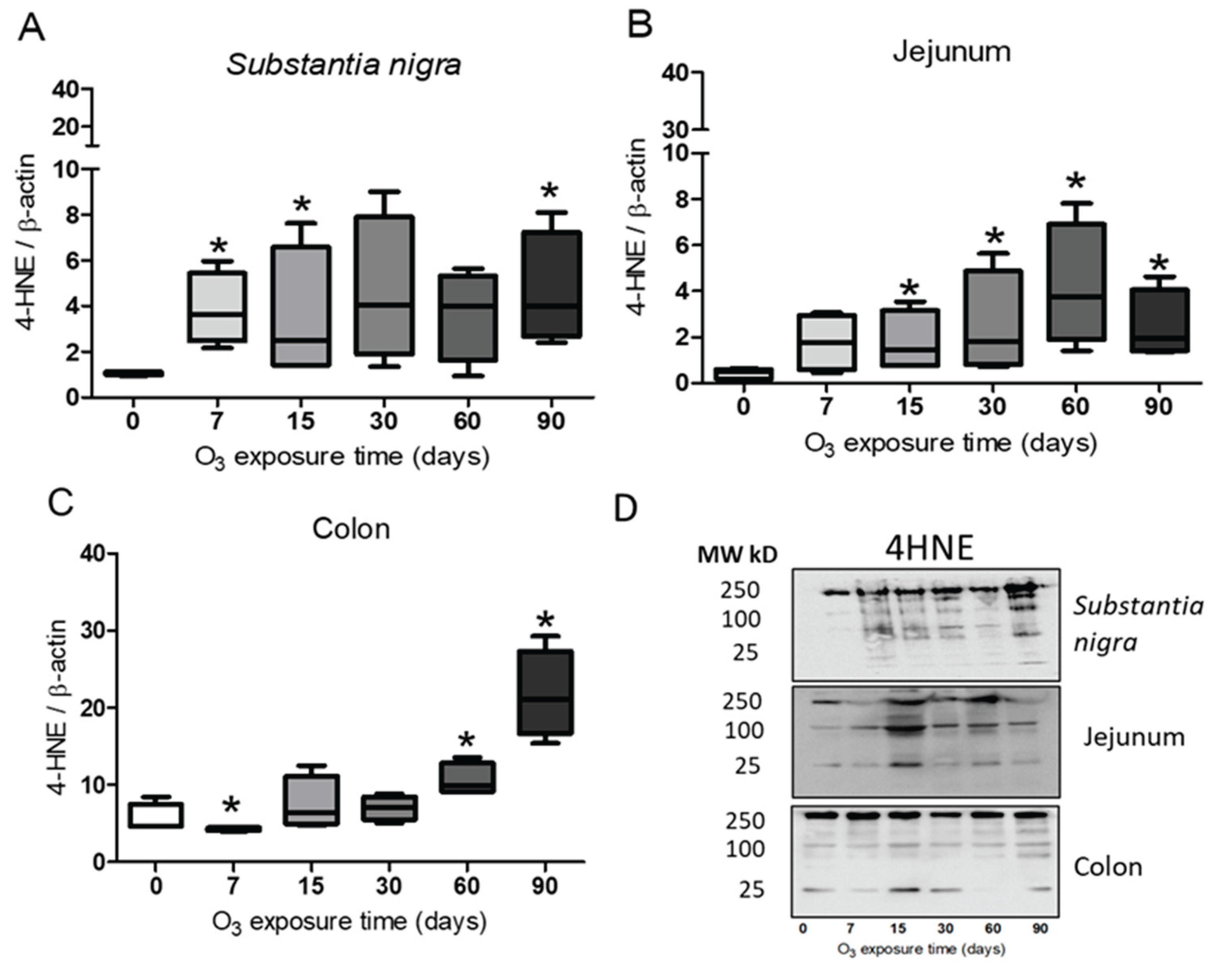 Preprints 101891 g001