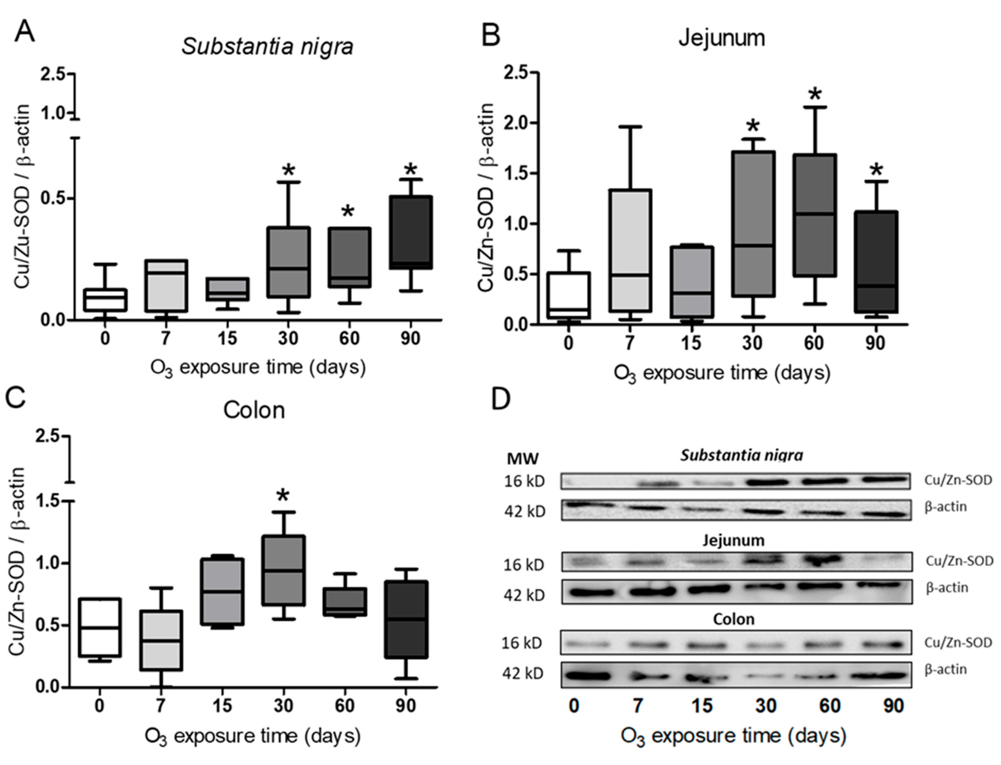 Preprints 101891 g002