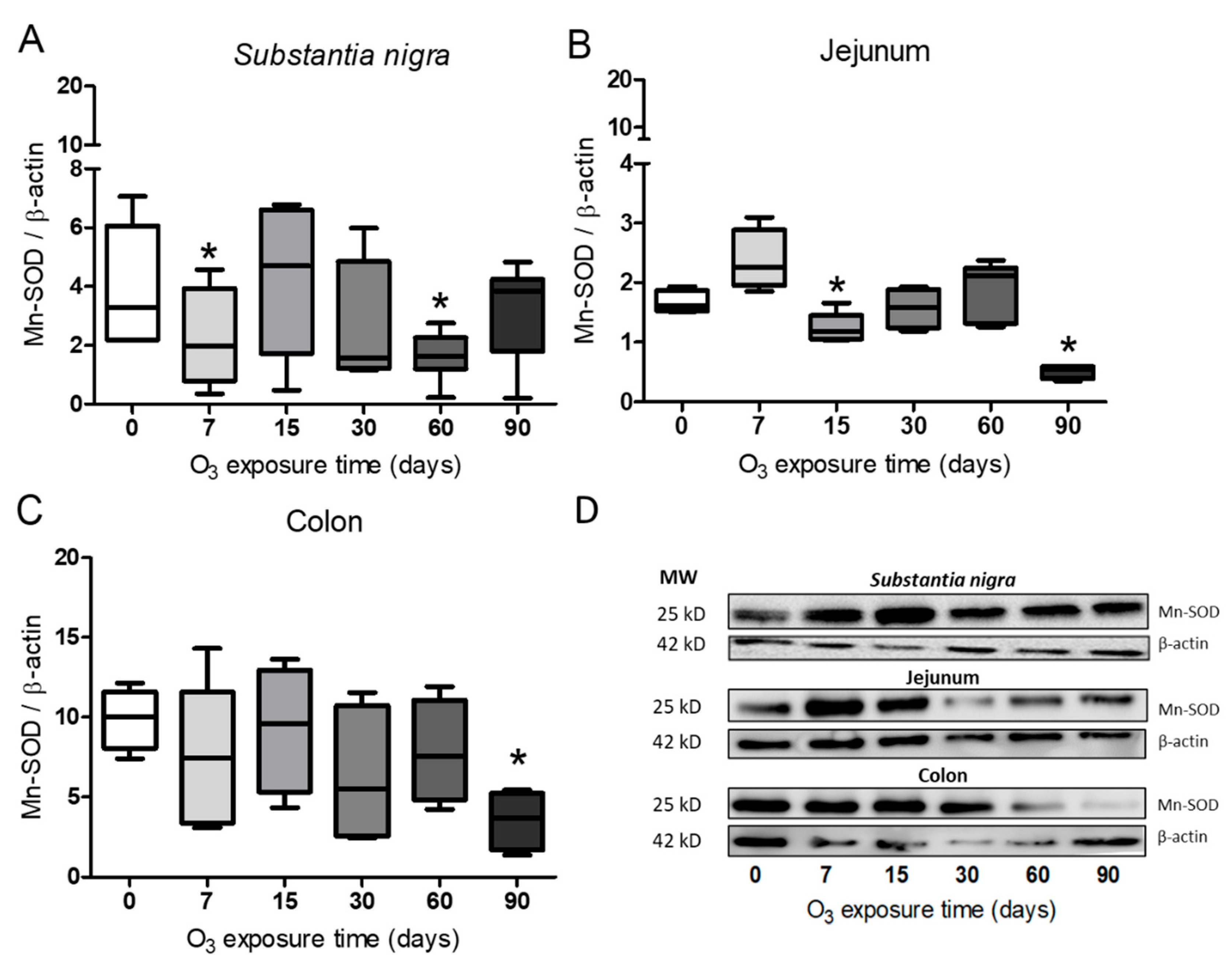 Preprints 101891 g003
