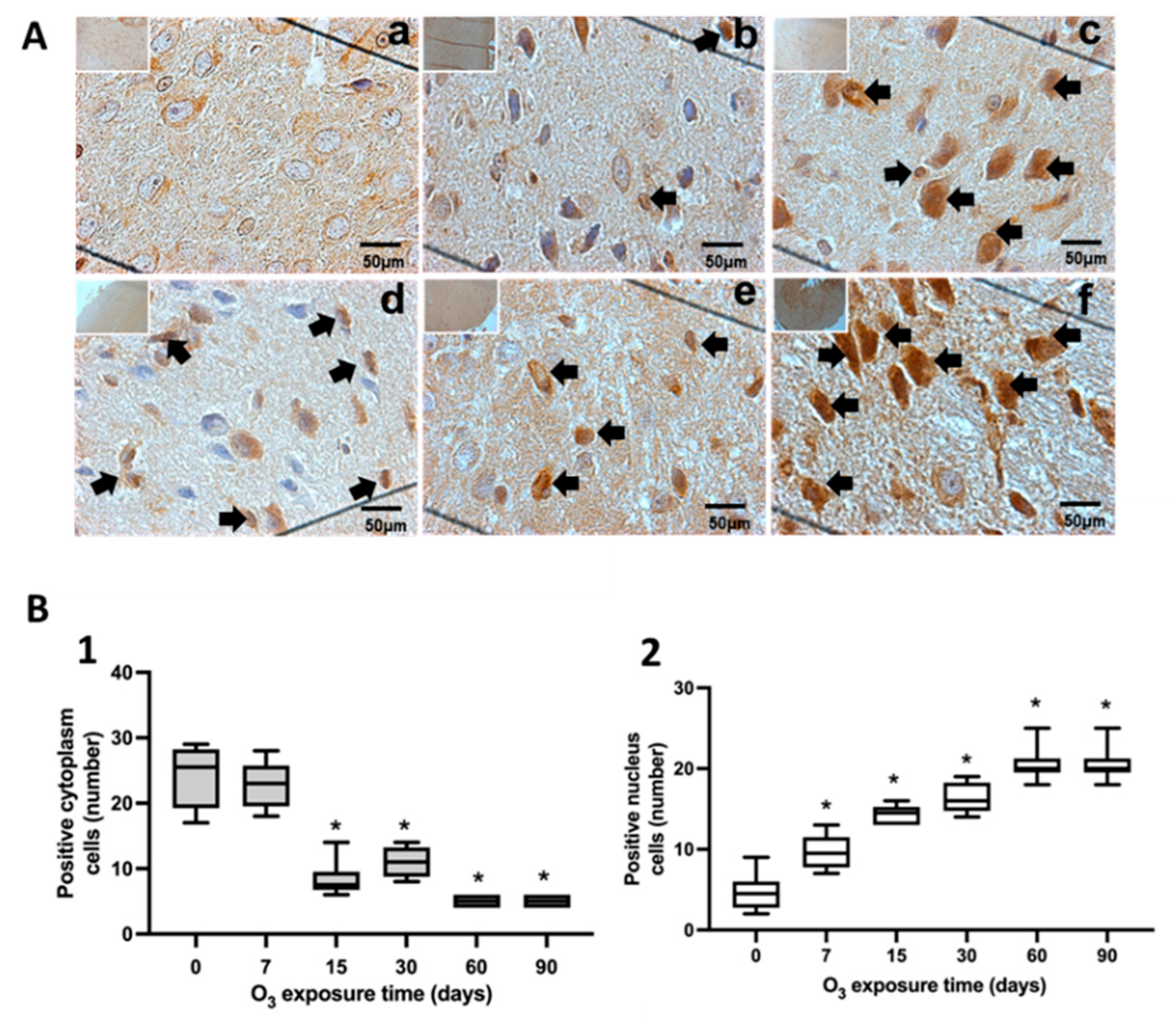 Preprints 101891 g005