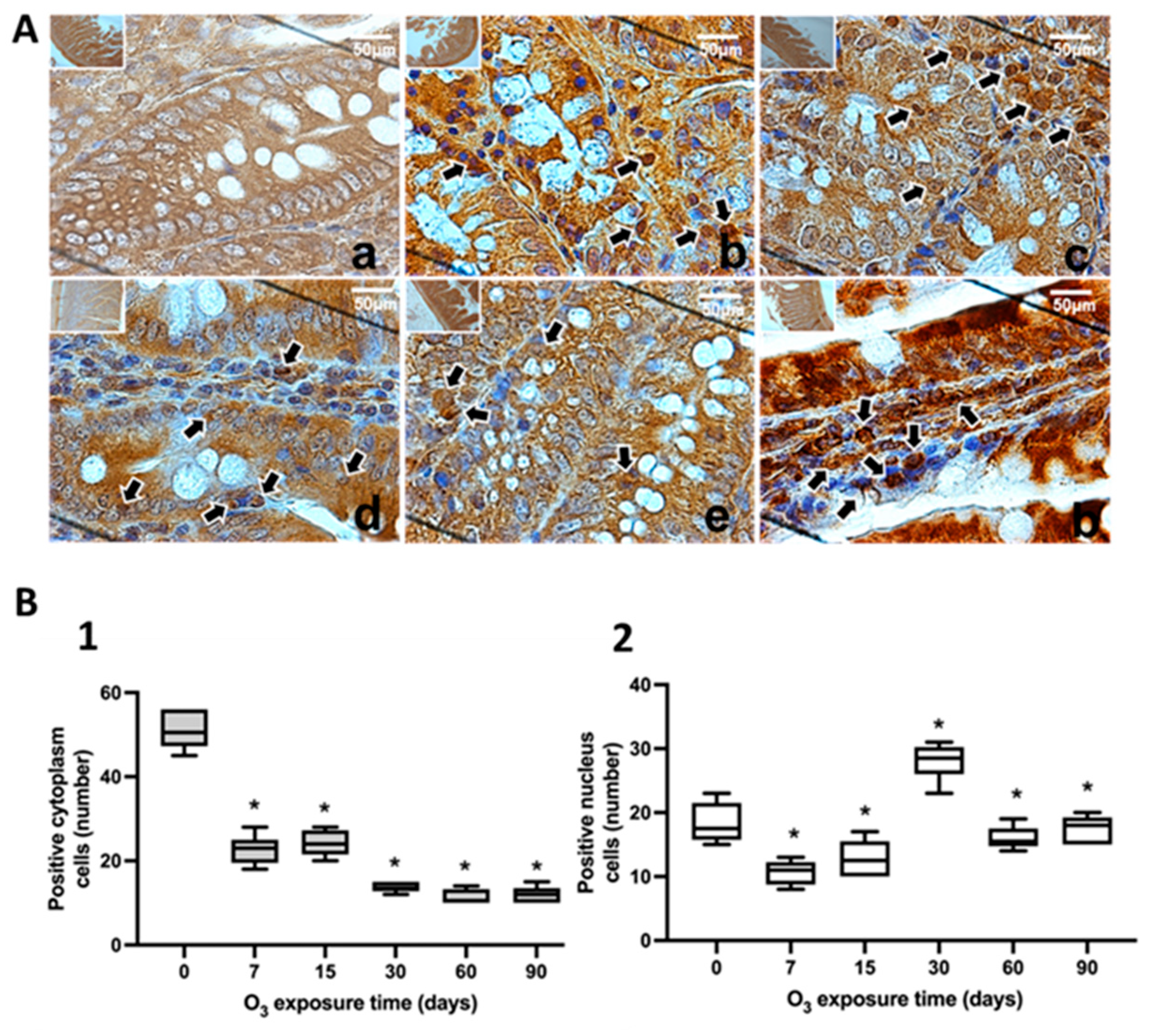 Preprints 101891 g006