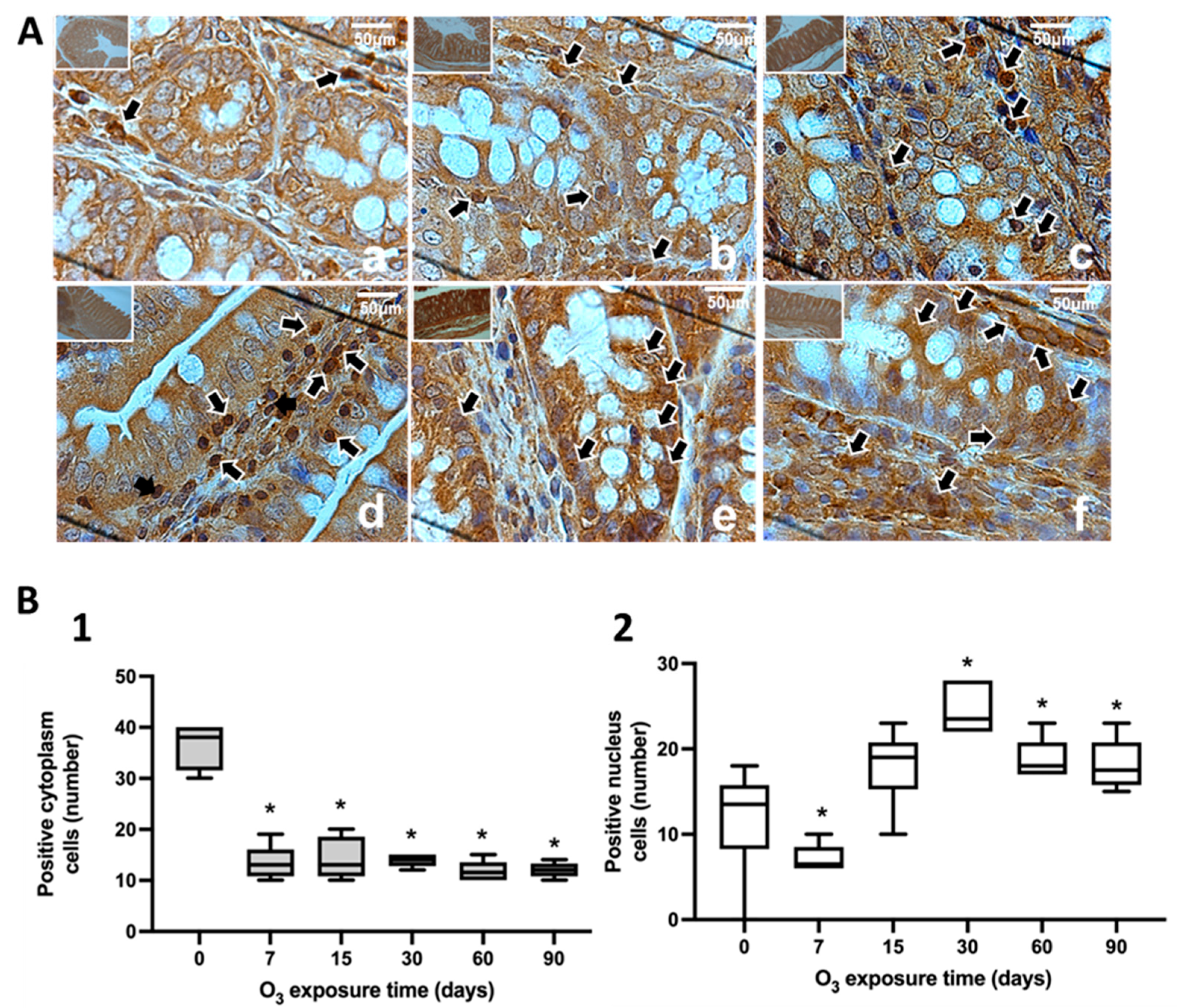 Preprints 101891 g007